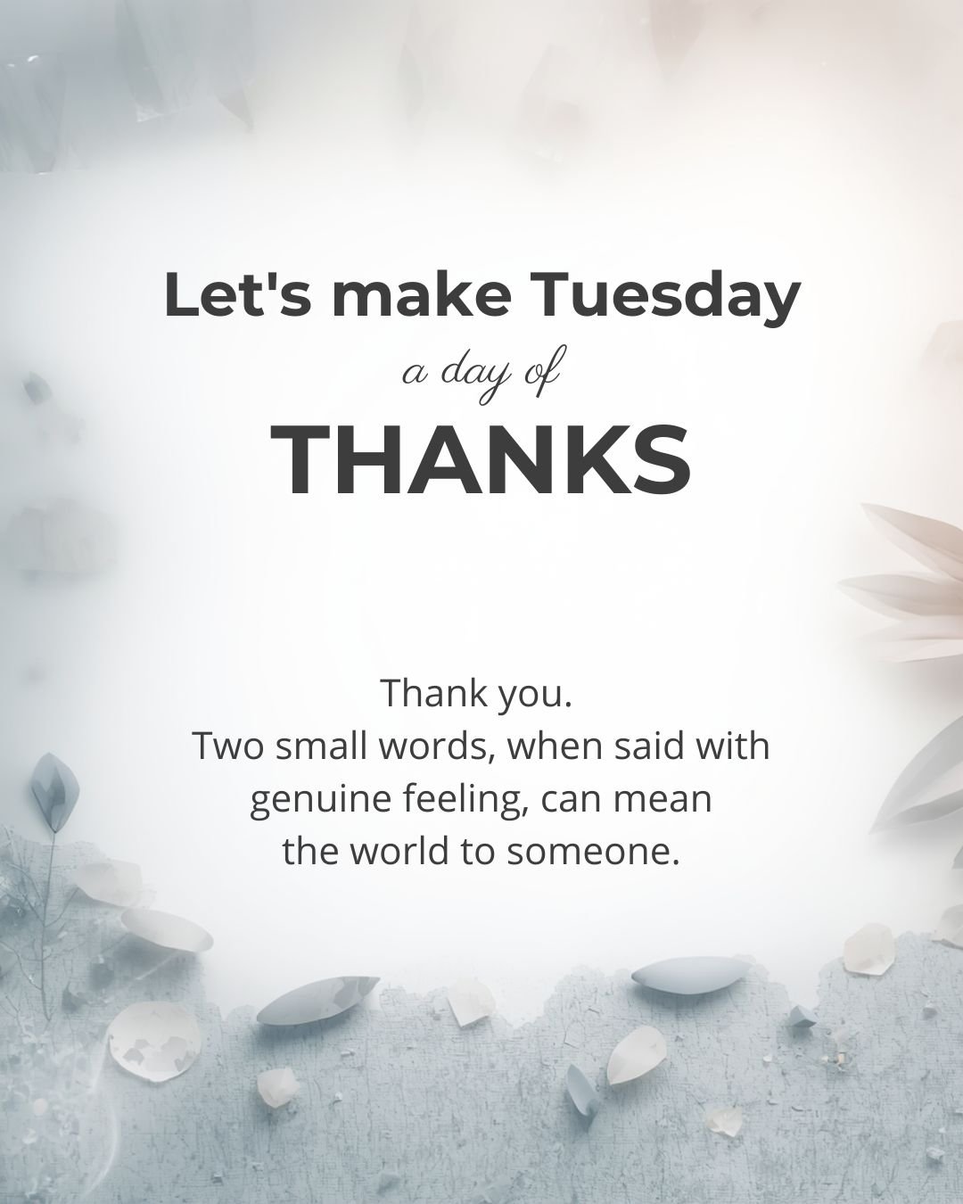 Thank You Tuesday