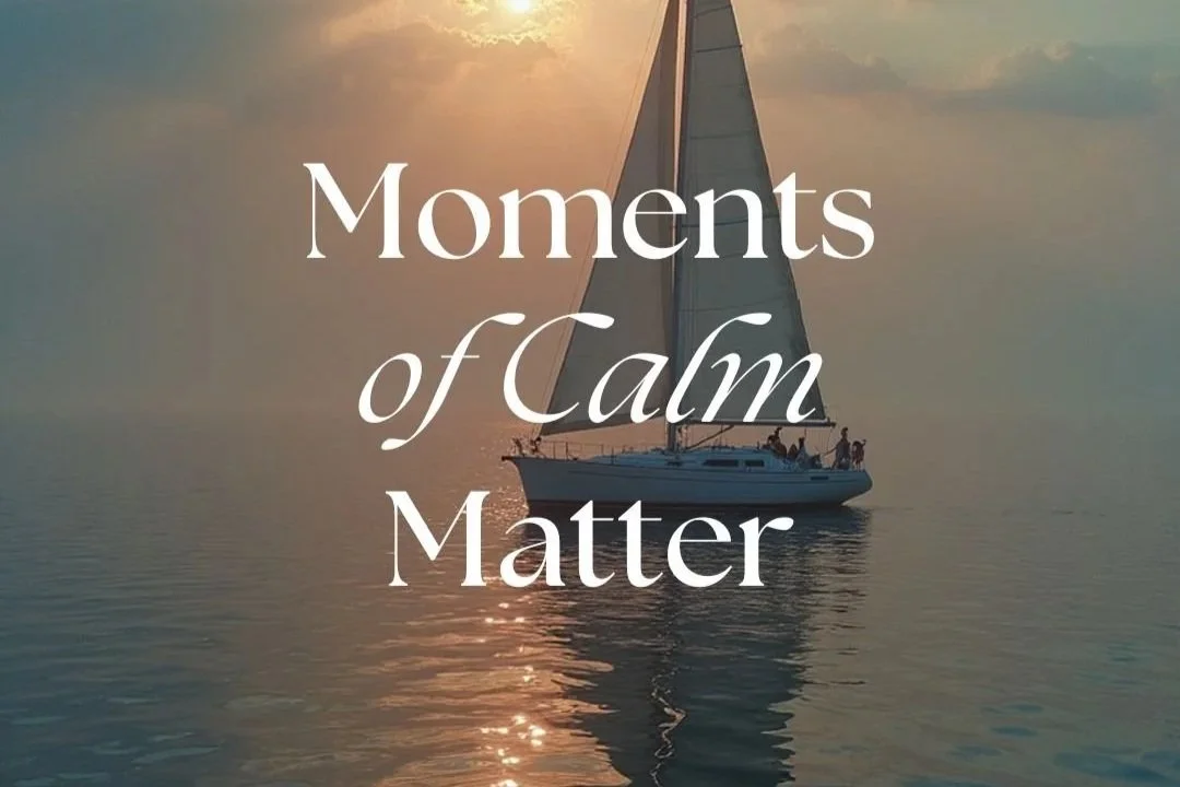 Finding calm within the chaos