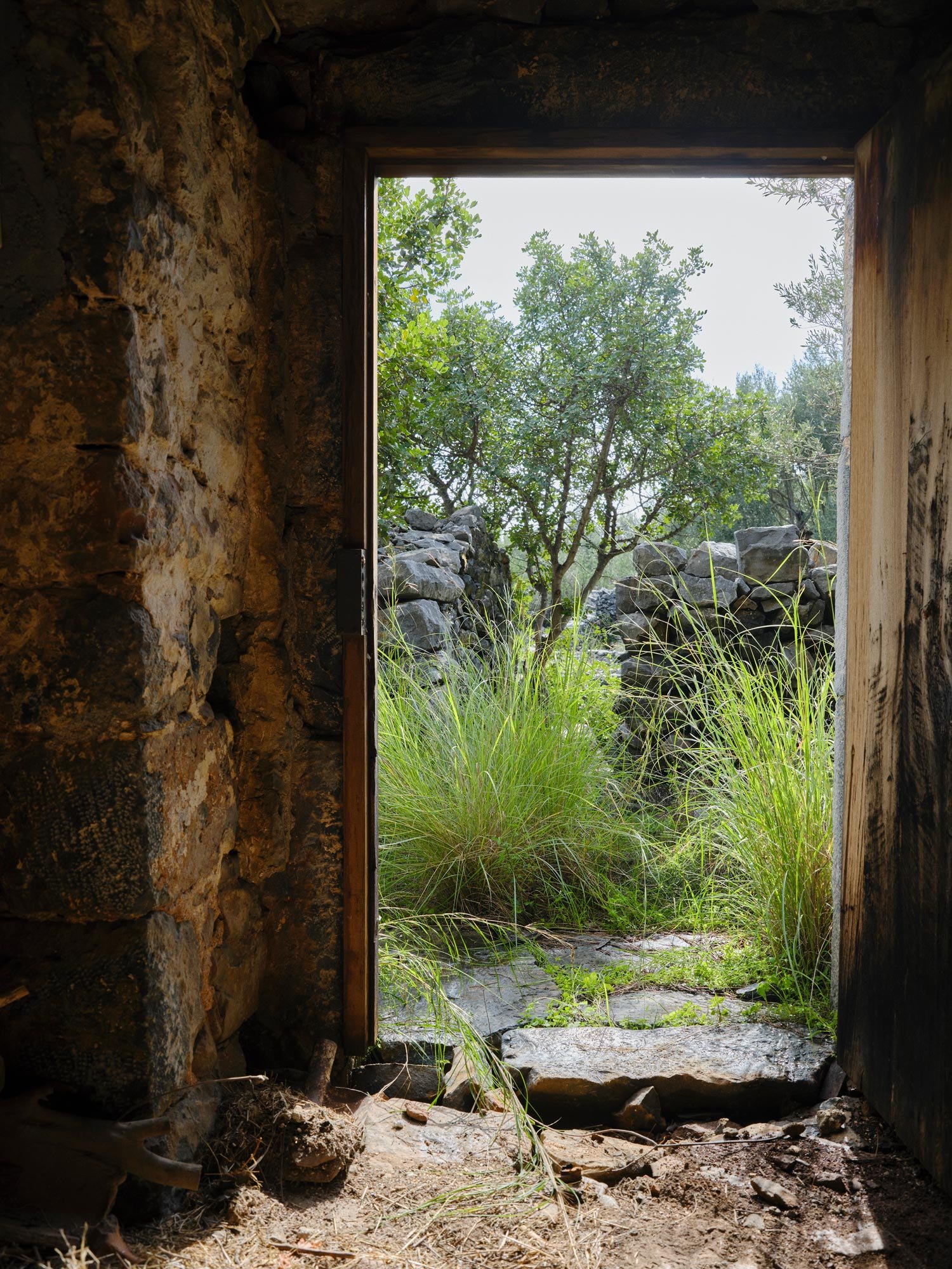 Maison_Racine_Address_The_Invincible_Tower_Door_Stone_Nature.jpg