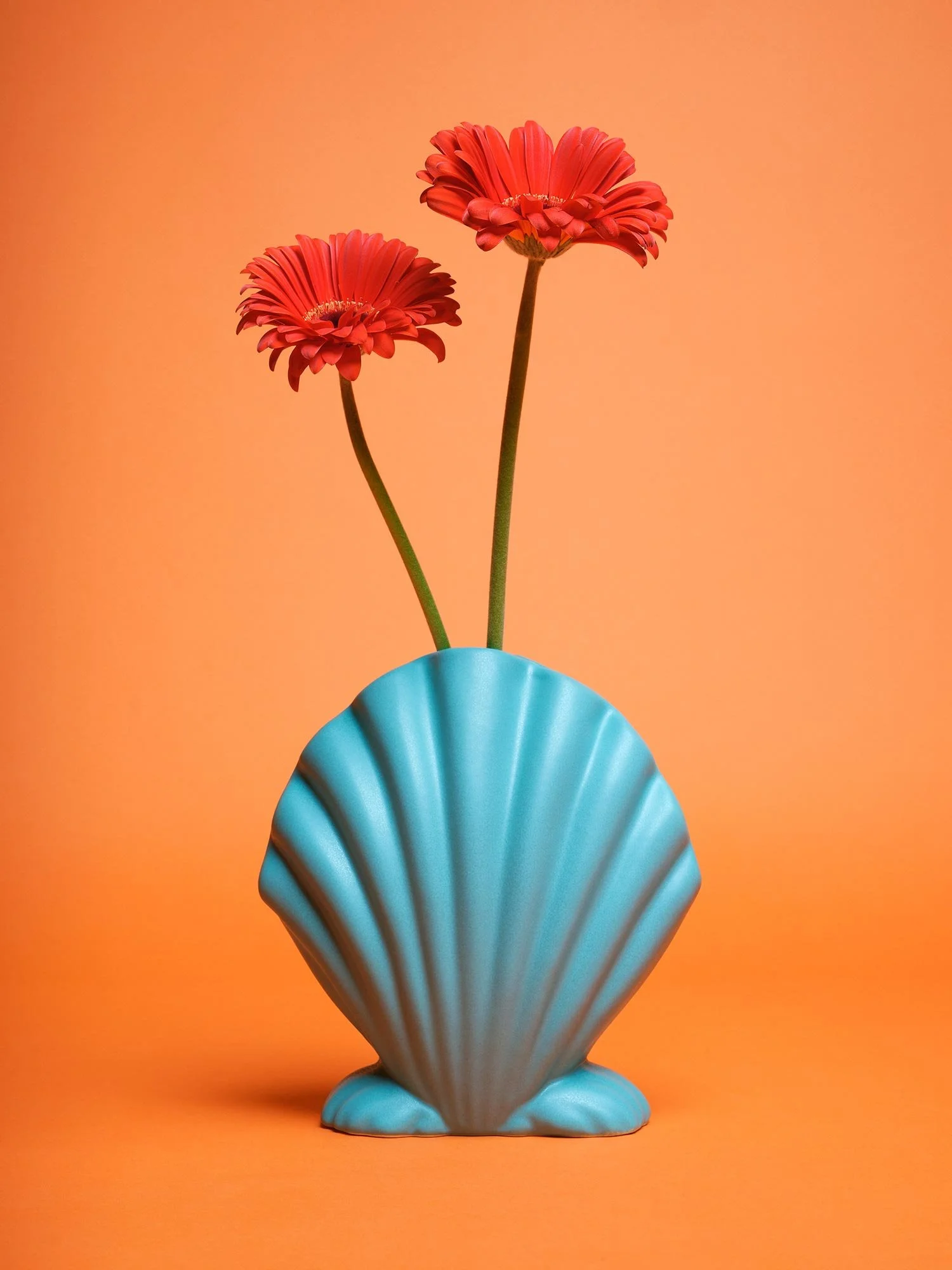 Maison_Racine_Bitossi_Shell_Gerbara_Orange.jpg