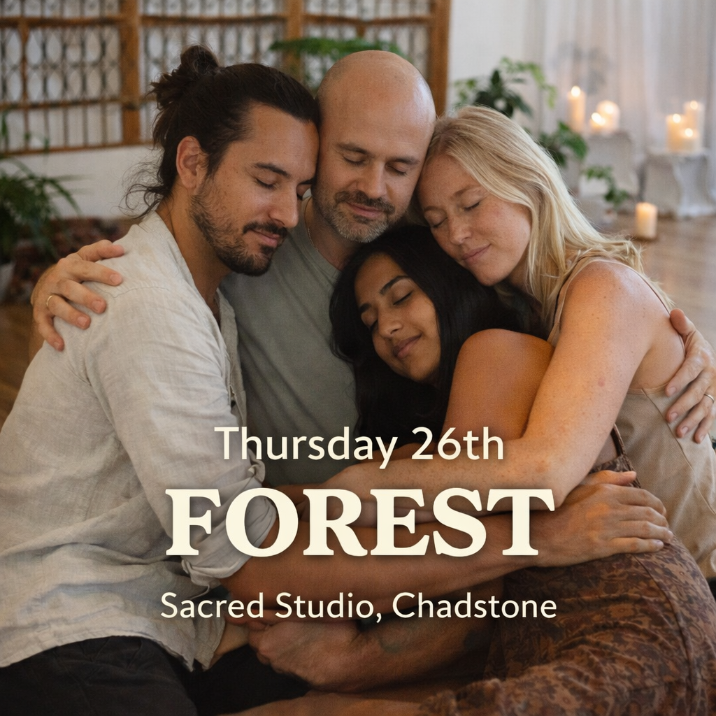 The Human Forest Experience