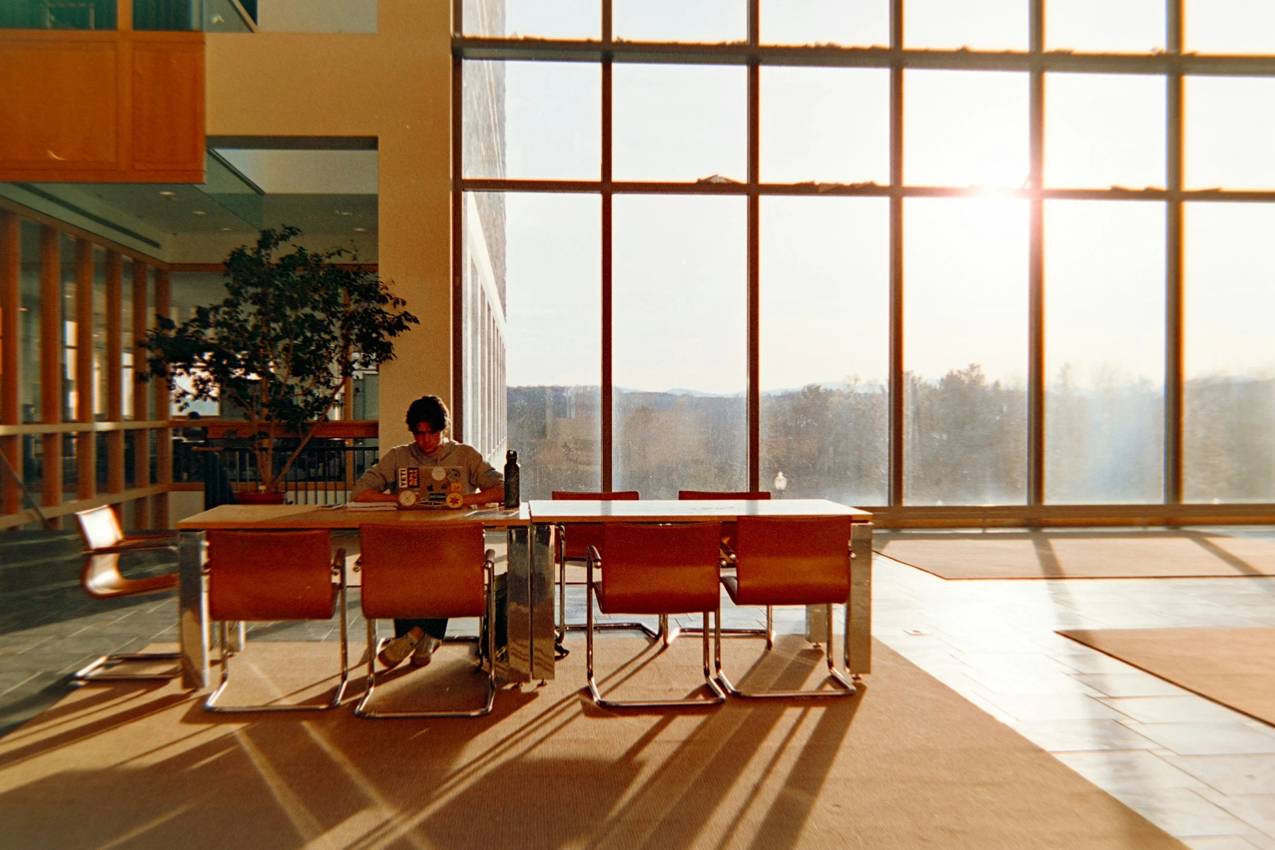 Sunlit modern interior space with large glass window, a lone person working at a desk with a laptop, and a potted plant, creating long shadows on the floor.