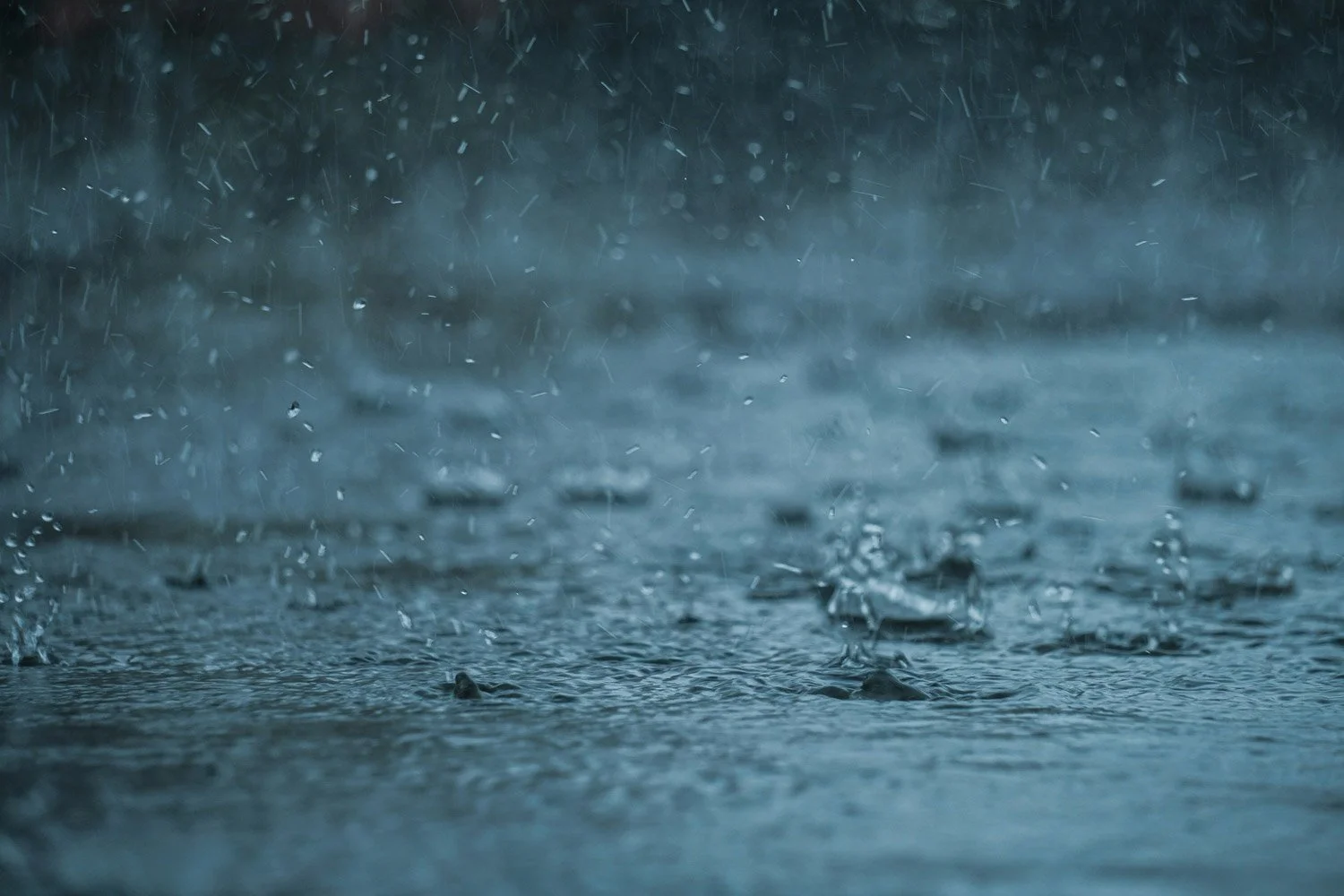 Raindrops falling on a water surface, creating ripples in the rain.