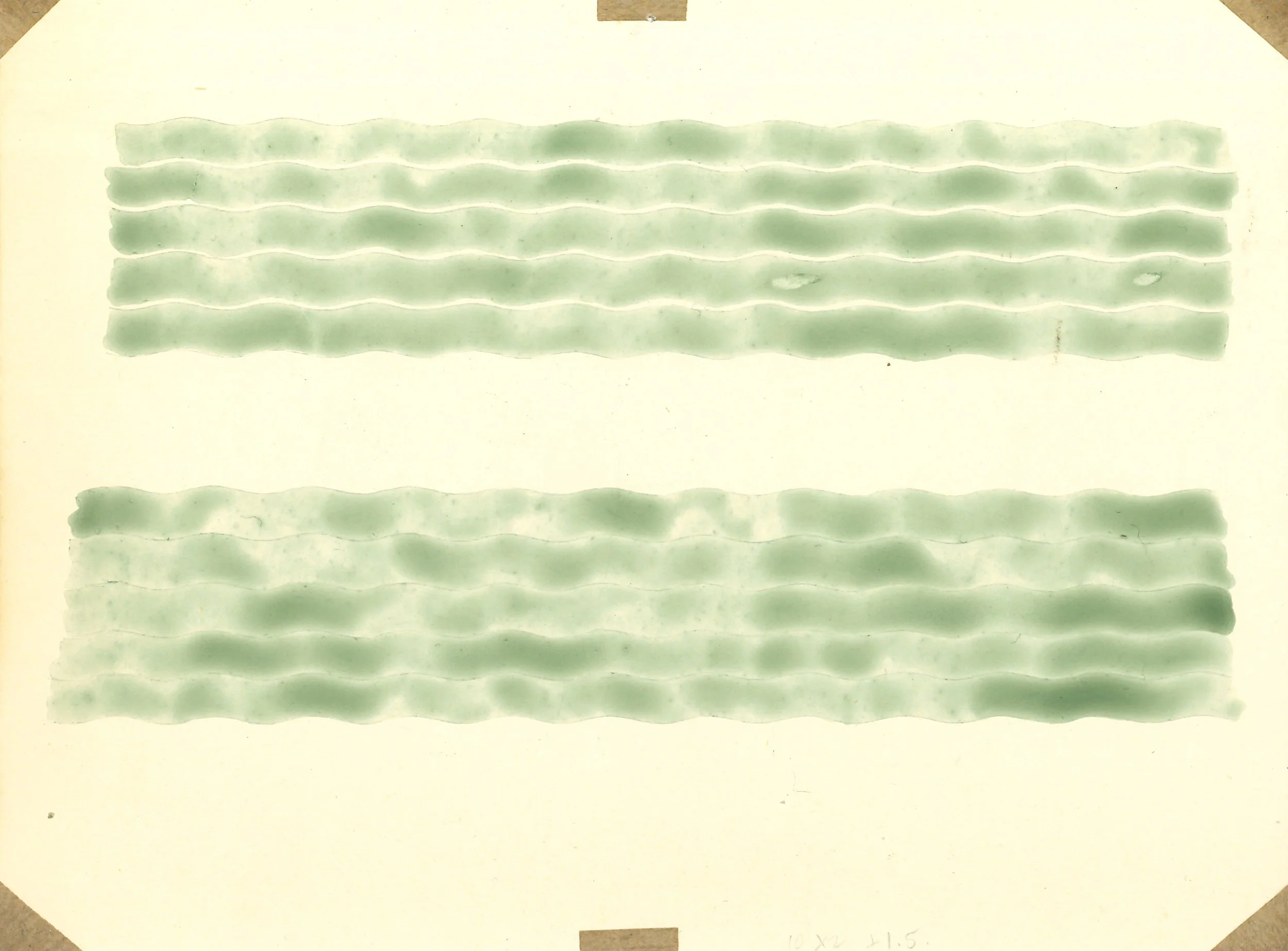 SCAN2585d.jpg