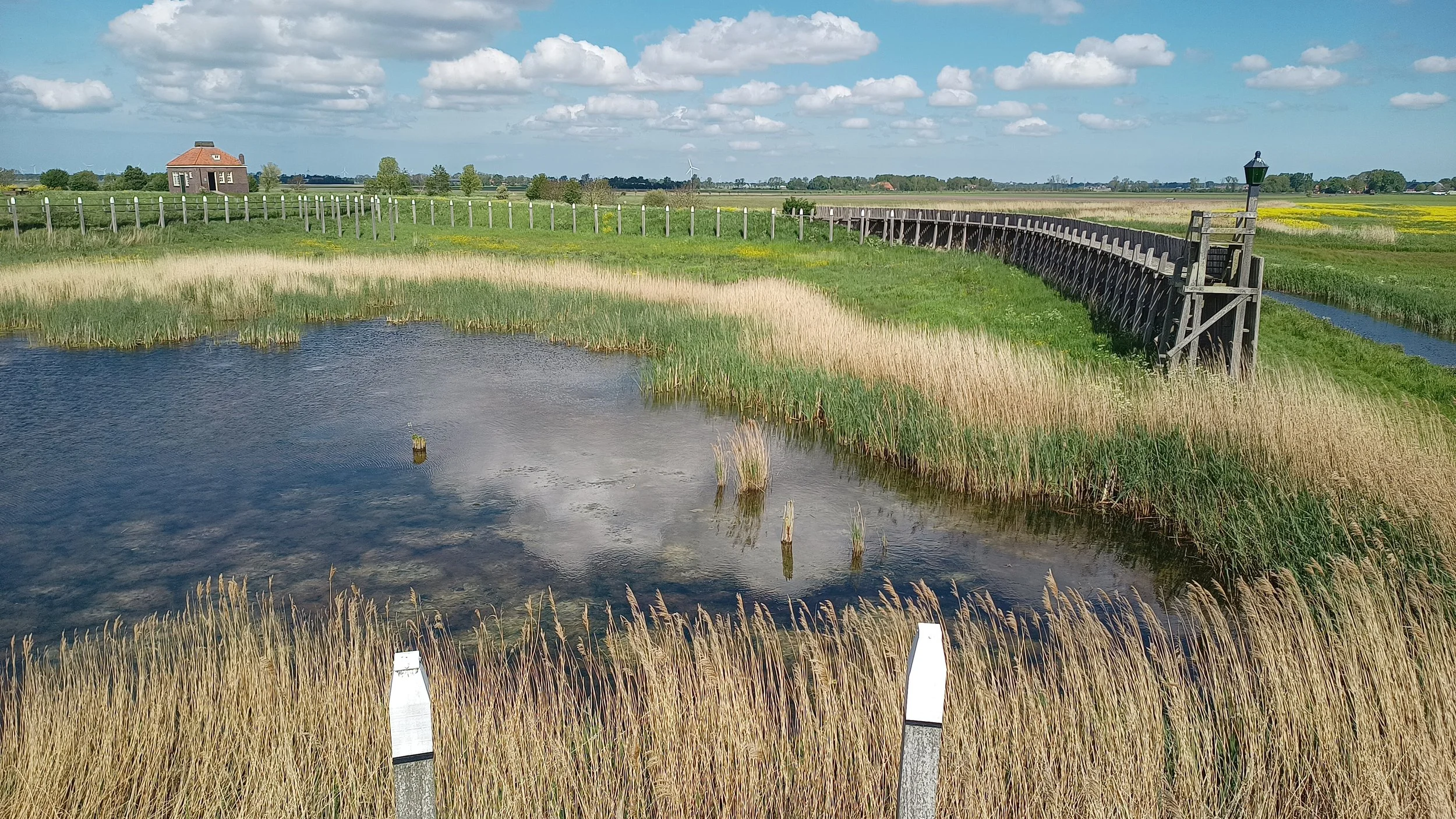 Schipbreuk op Schokland