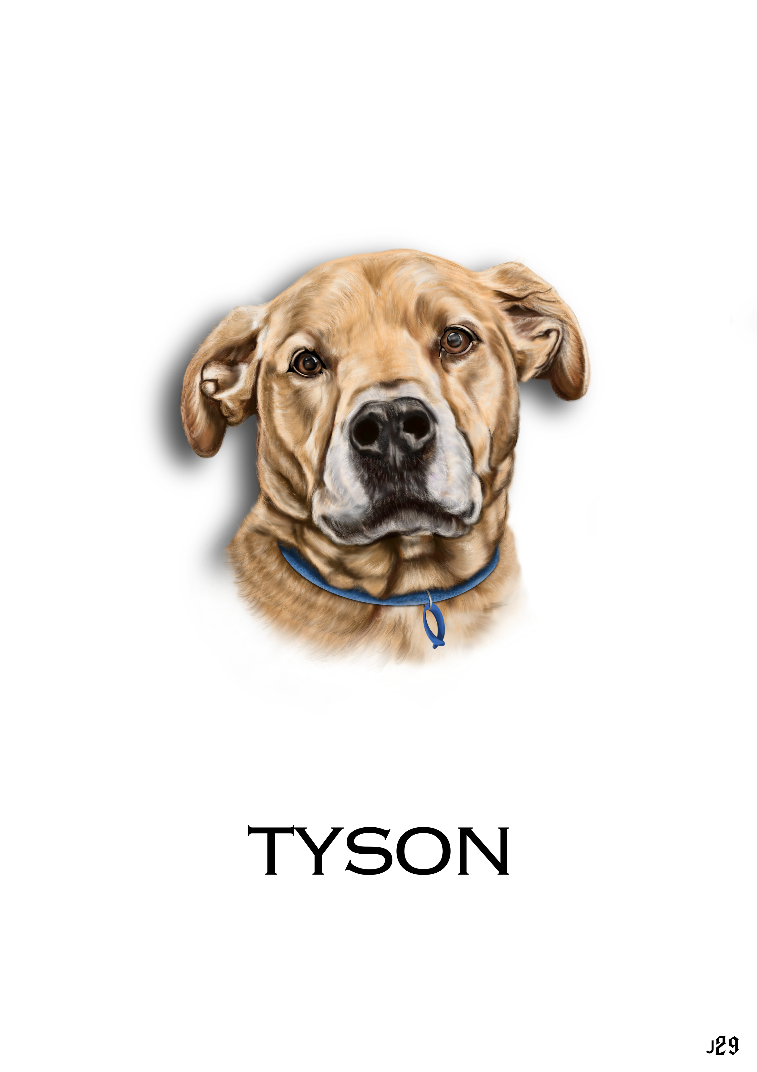 A realistic illustration of a brown dog with a blue collar, looking directly at the viewer, with the name 'TYSON' written below.