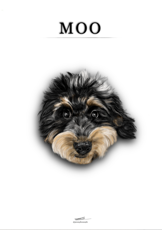 Illustration of a cute, fluffy dog with black and tan fur, looking directly at the viewer, with the text 'Moo' above its head.