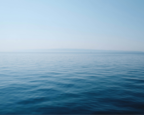 M&amp;A in the Trust and Fiduciary market
