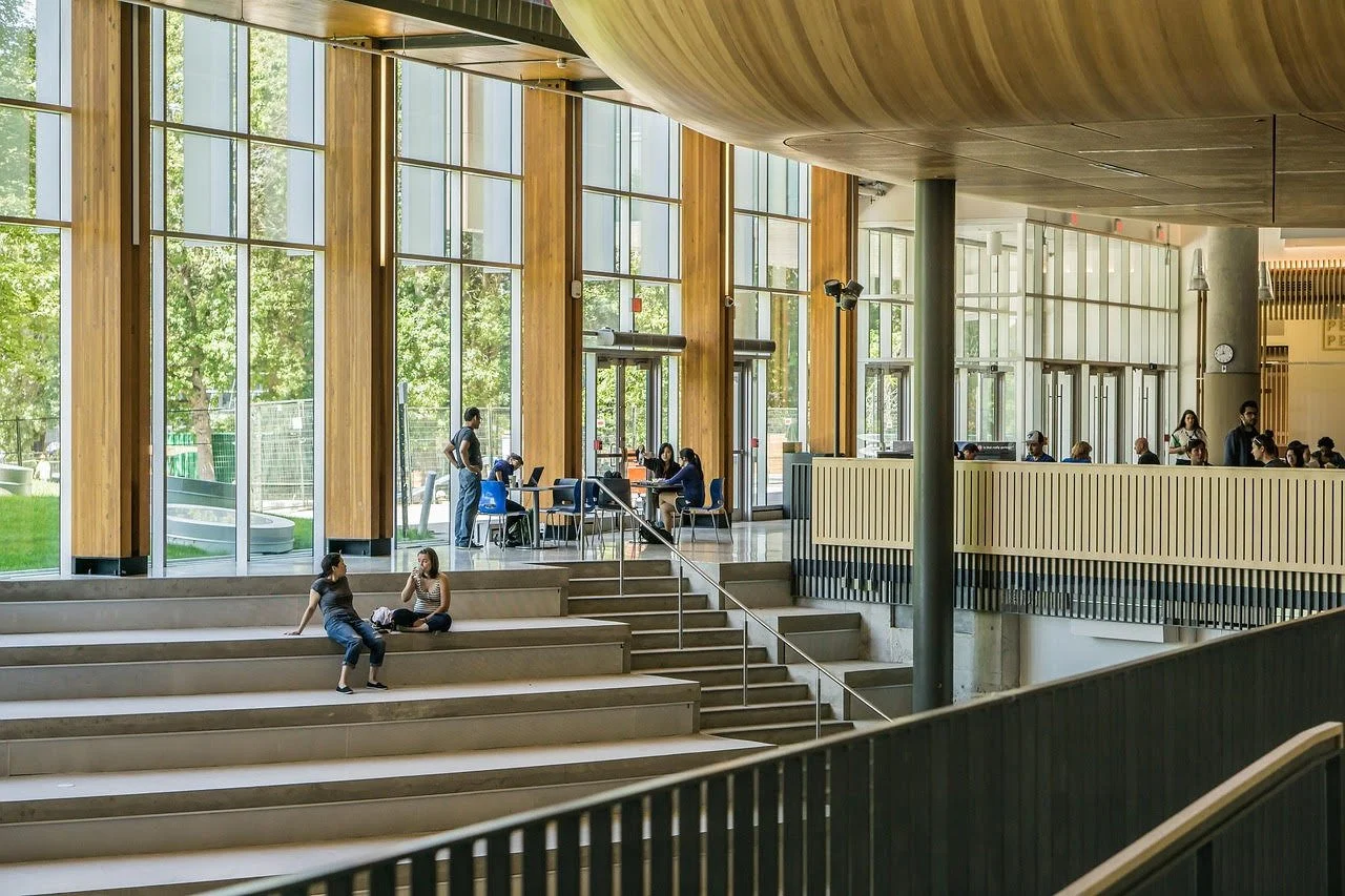Commercialisation and the Contemporary Academic</span>