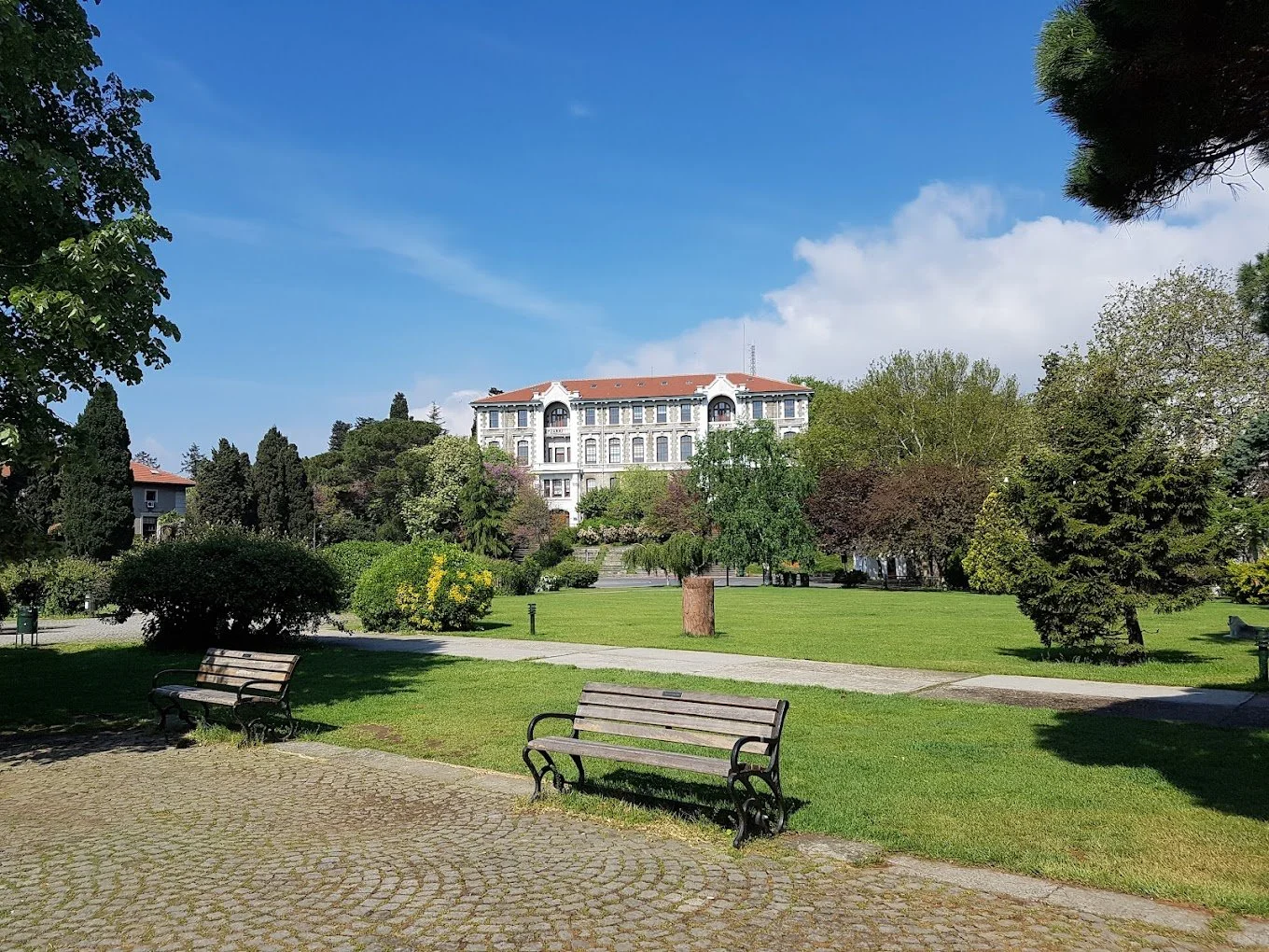The Pedagogical Contribution of Early Hadith Scholarship
