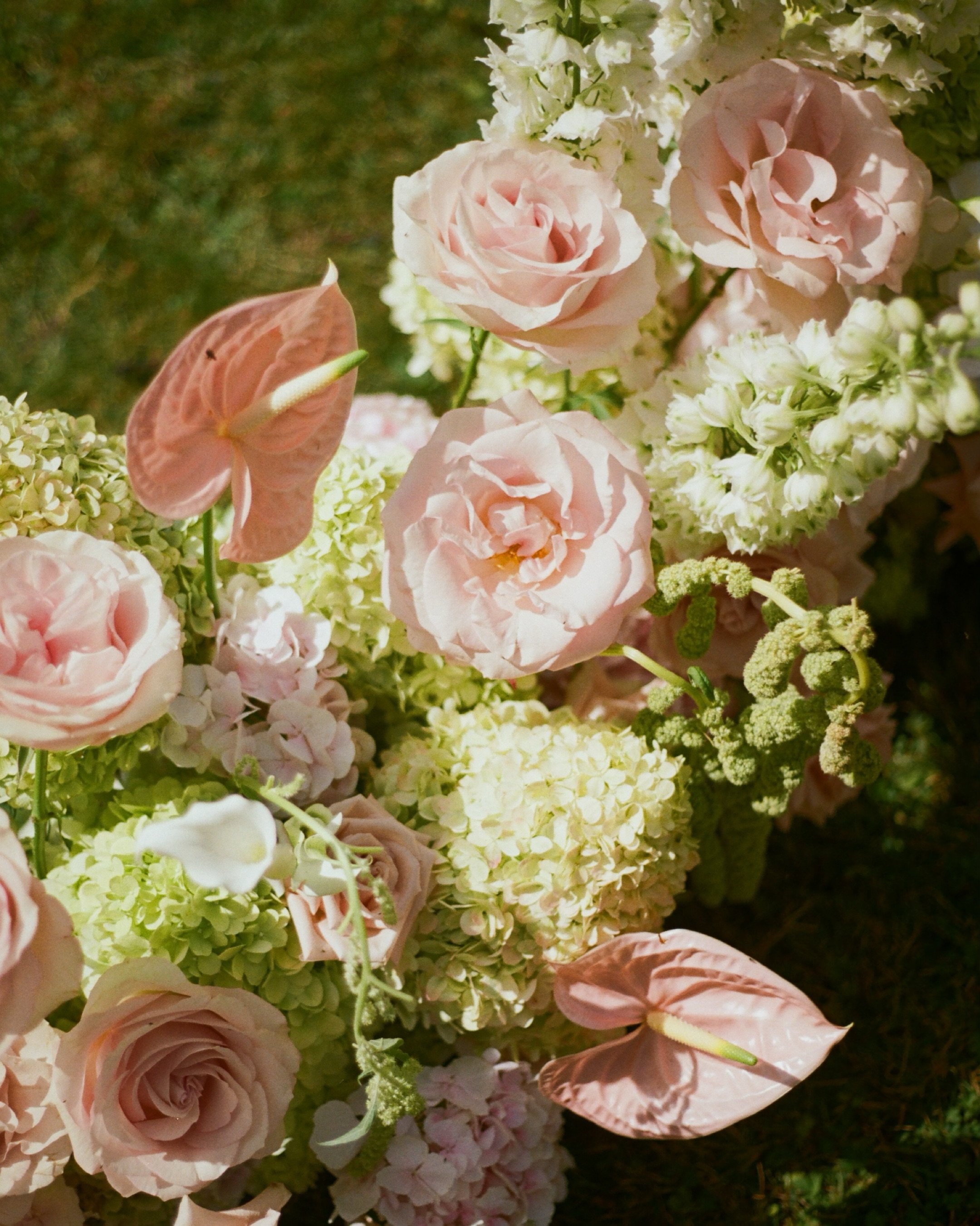 35mm snaps from a stunning wedding by the lake 

Florals: @stephlovesflowers
Venue: @blankcanvasweddings
Make up: @makeupbybeckyflynn

#weddingphotographer&nbsp;#weddingphotography
#ukweddingphotographer
#sussexweddingphotographer&nbsp;#londonwedding