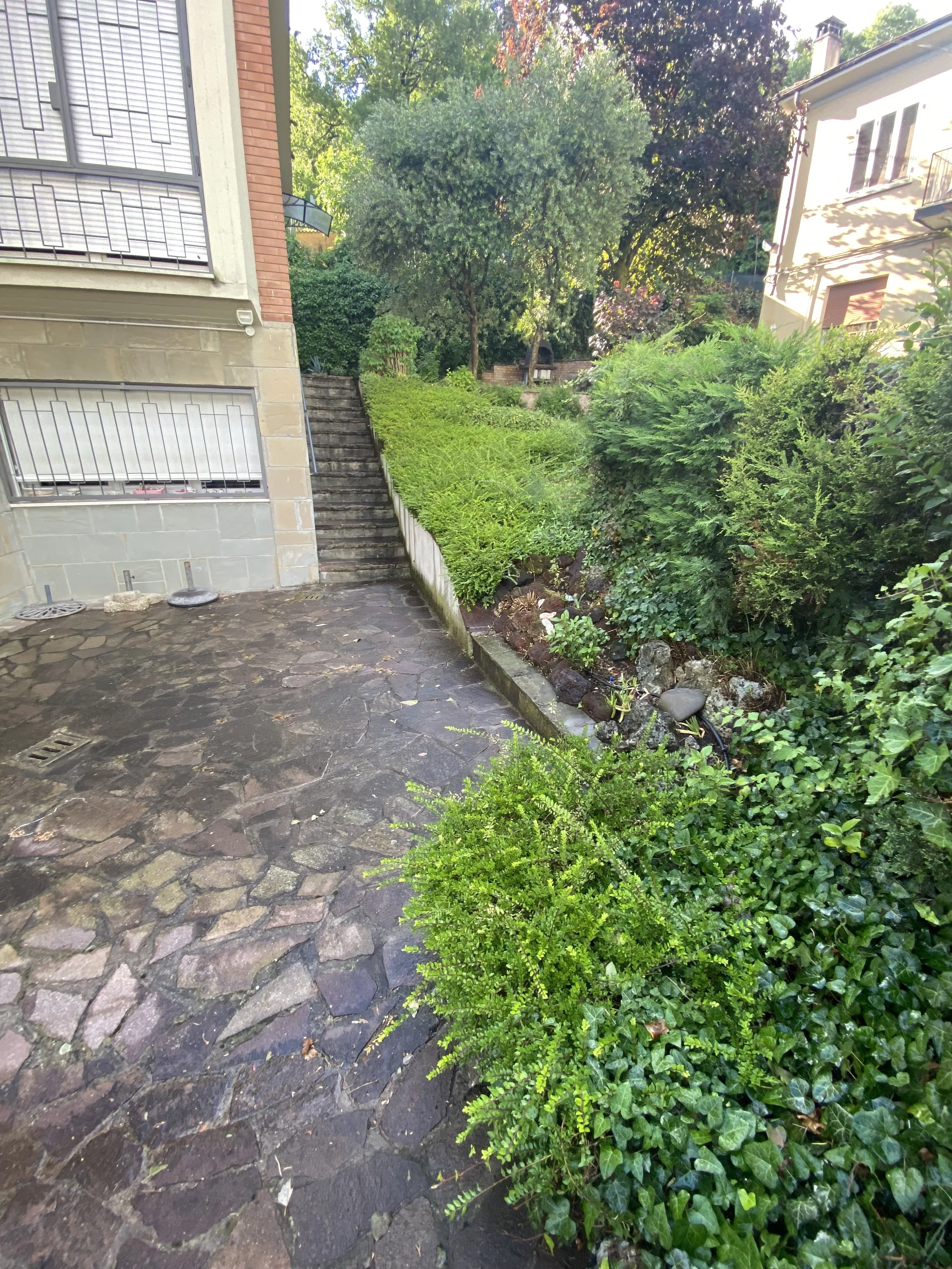 Una parte di giardino con una scala in pietra che porta verso un'area più alta, circondata da arbusti e alberi verdi.