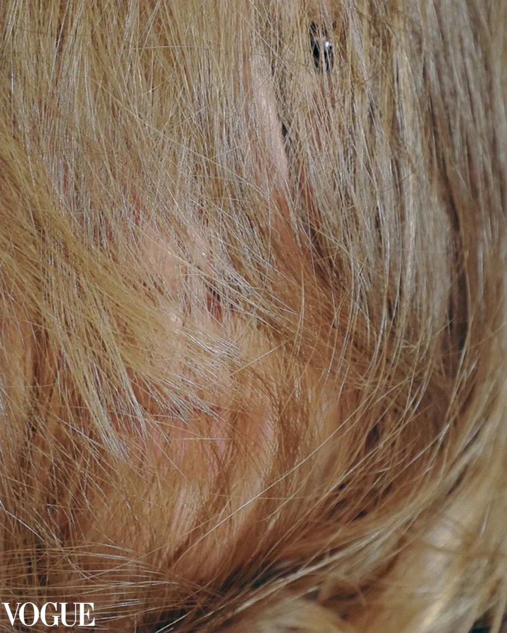 Close-up of a dog's skin and fur, showing patches of pink skin and light brown fur.