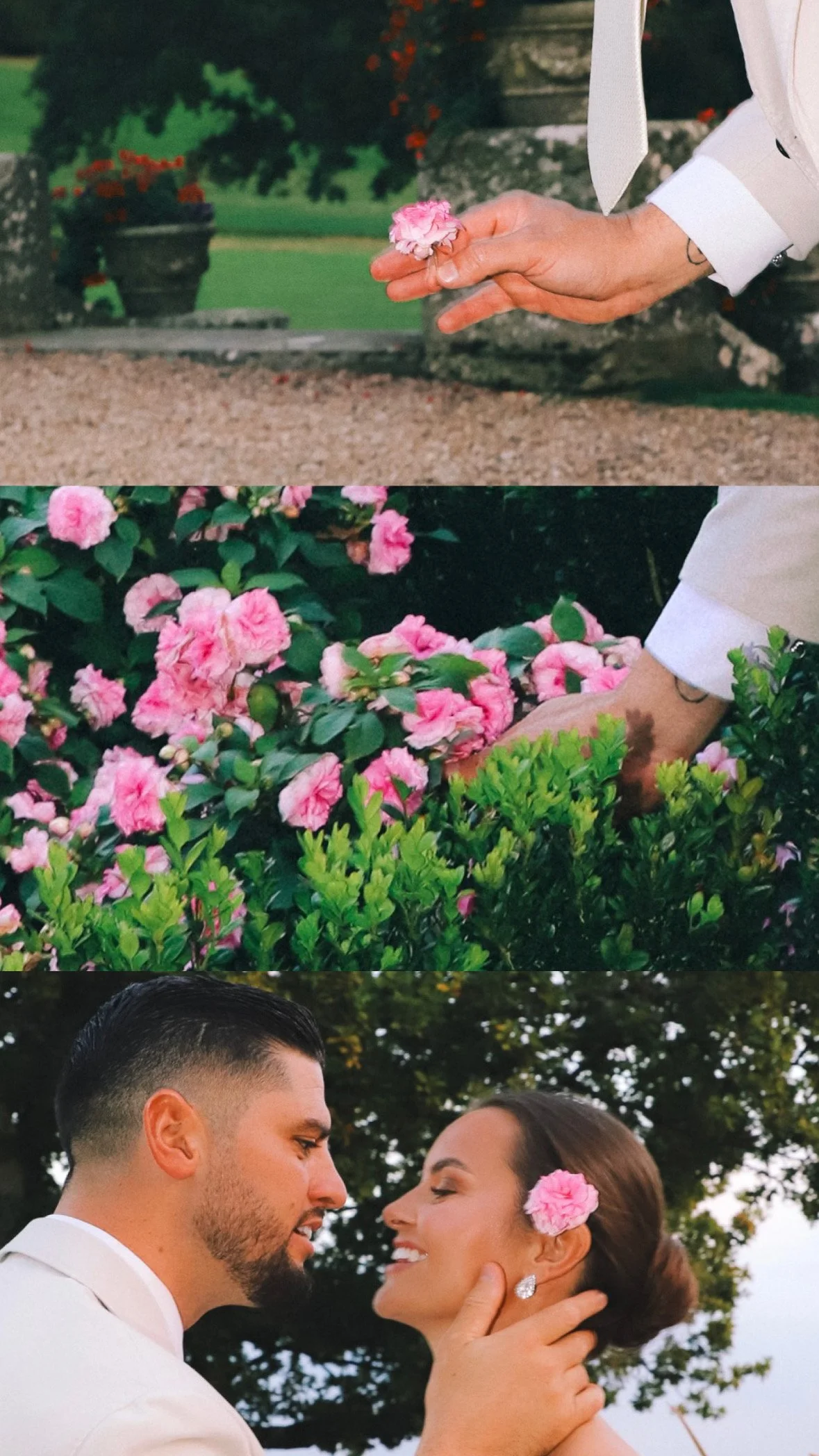 A series of three photos showing a hand placing pink carnations for a romantic moment, with pink flowers and greenery in the background, culminating in a couple's close-up with a pink carnation in their hair, sharing an intimate moment outdoors.