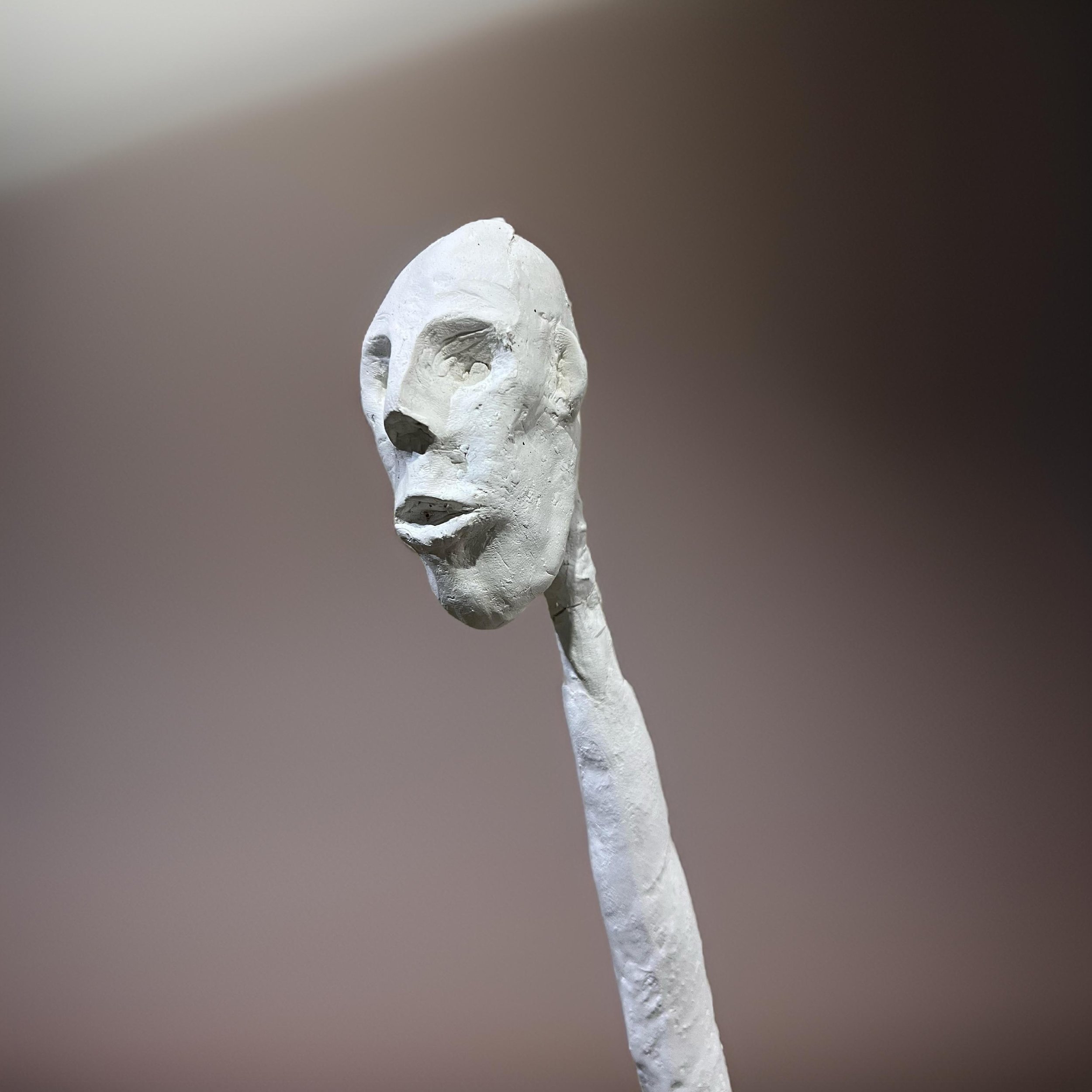 Giraffus Maximus.