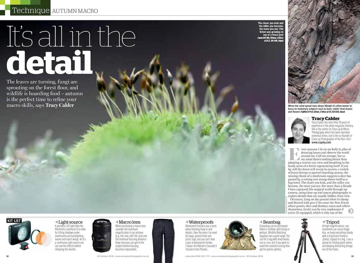 Autumn Macro 20 Oct-images-0 2.jpg