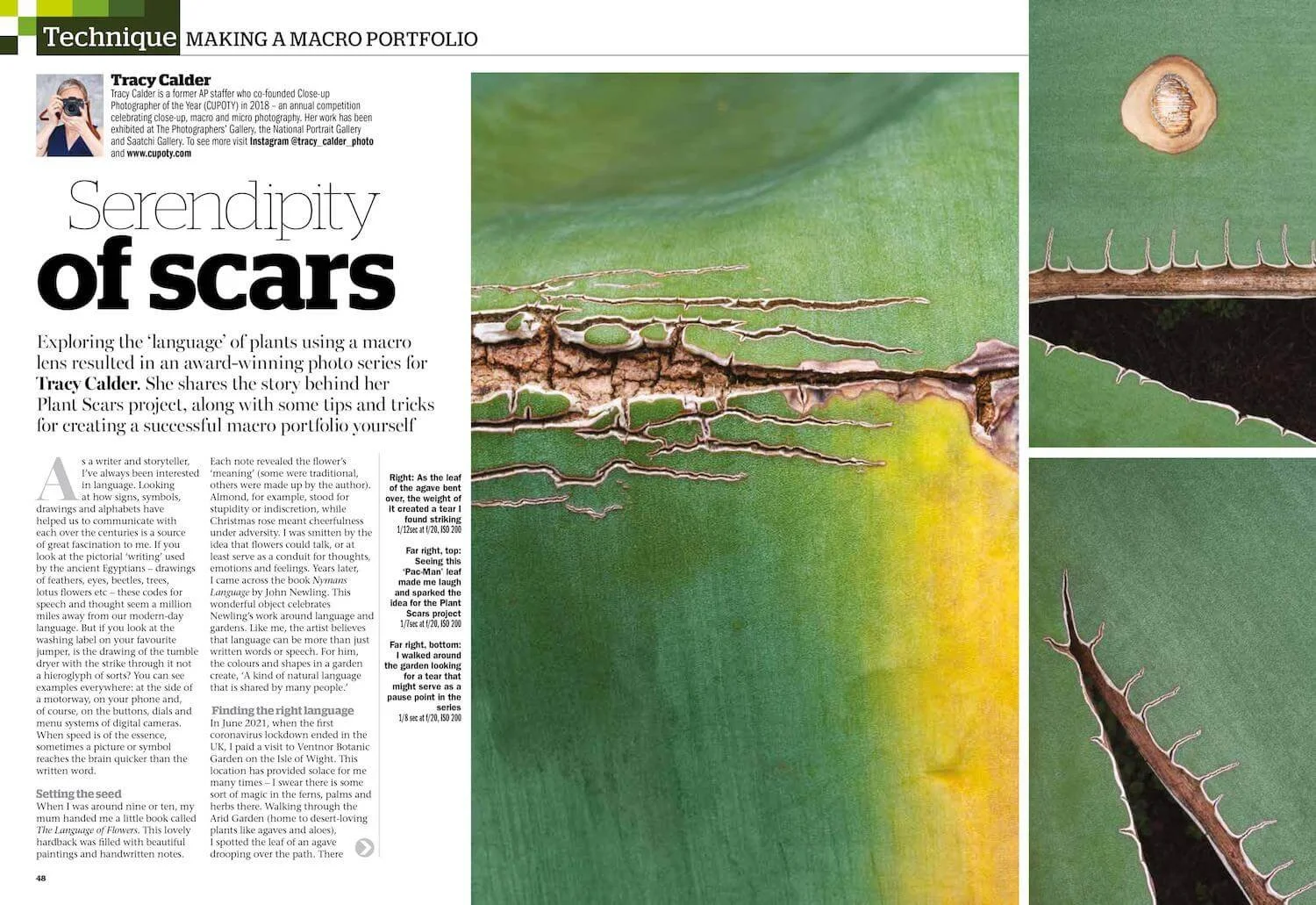 48-51 P_Plant_Scars_AP July5-images-0.jpg