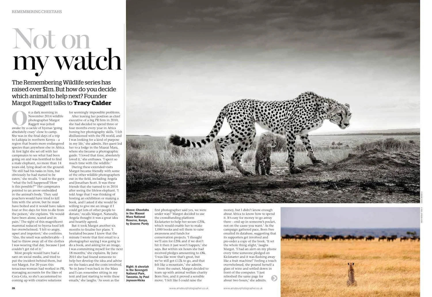 28-31 RememberingCheetahs_APFeb6-images-0.jpg