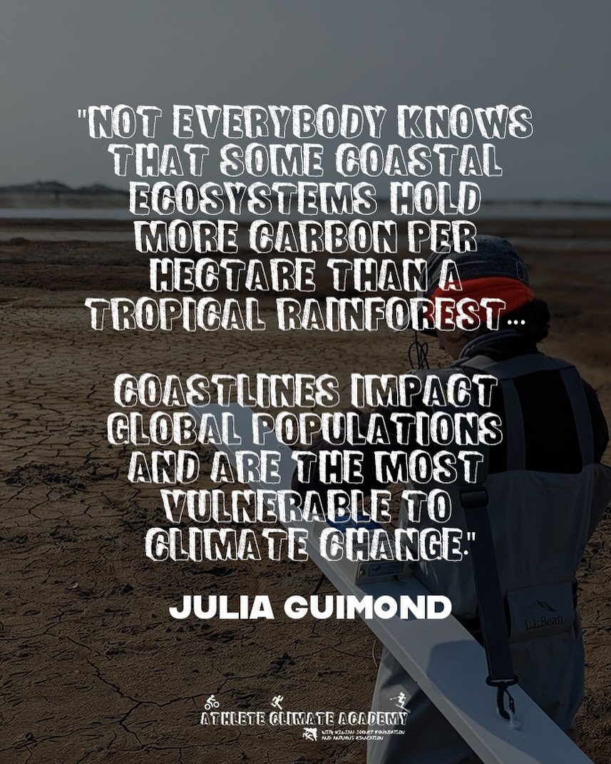 Today we dive into the hidden challenges facing coastal ecosystems&mdash;places that store more carbon per hectare than tropical rainforests yet are among the most vulnerable to climate change. Dr. Guimond shares her insights on rising sea levels, sa