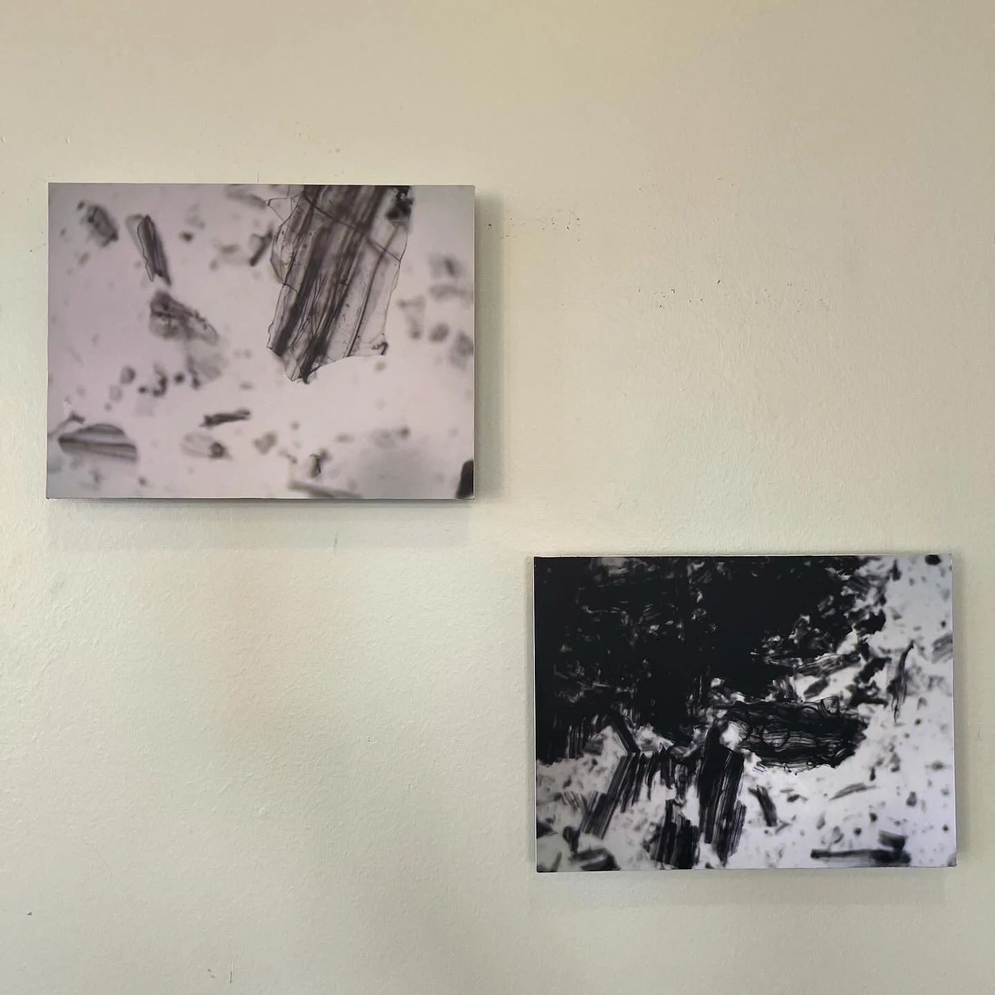 A8E6017A-0428-4CA6-AA67-894CA9BA91FF.jpeg