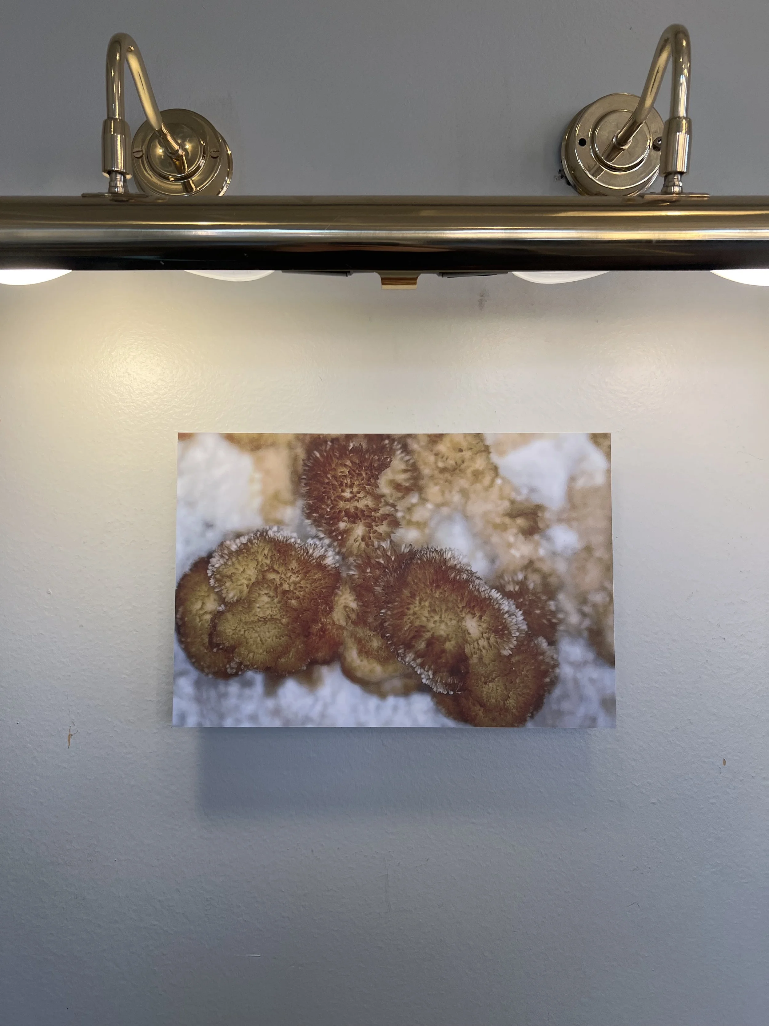 ljósbrot 3.jpg