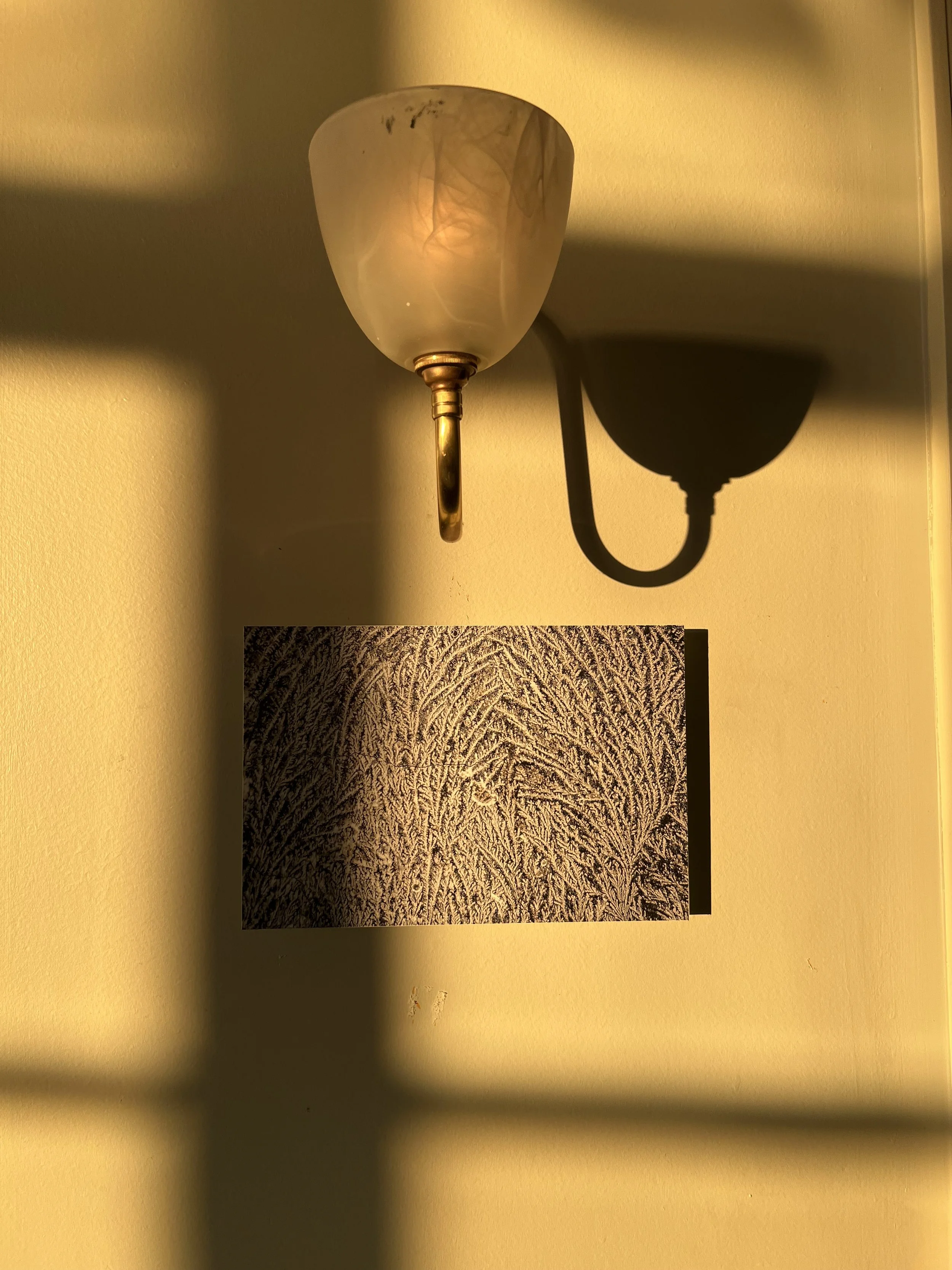 IMG_5029.jpeg