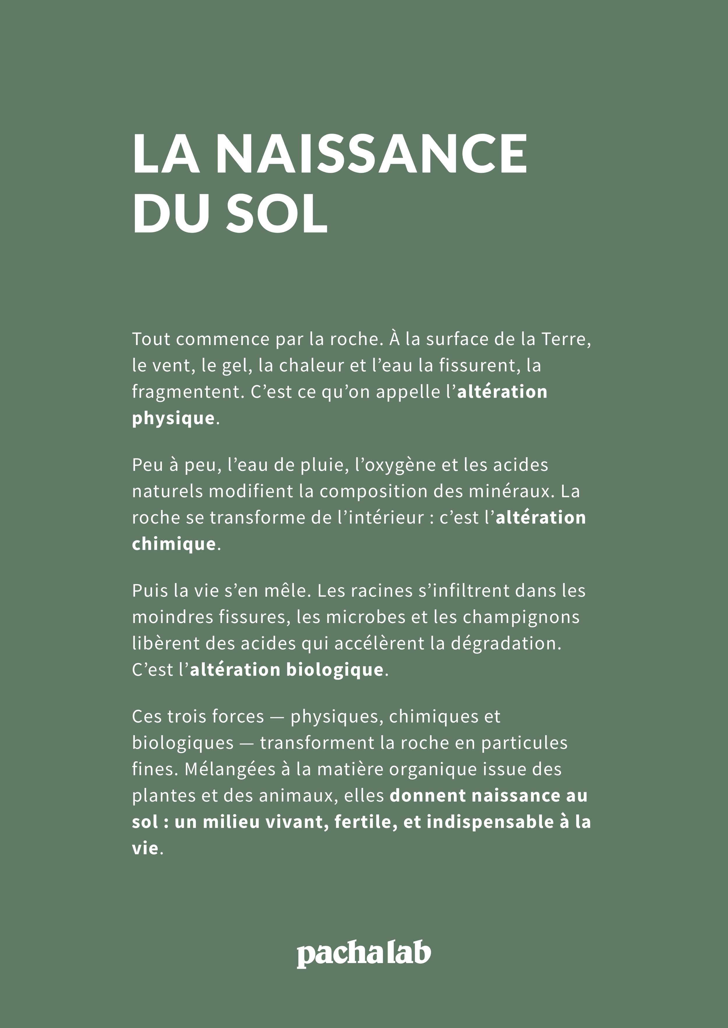 Naissance du sol.jpg