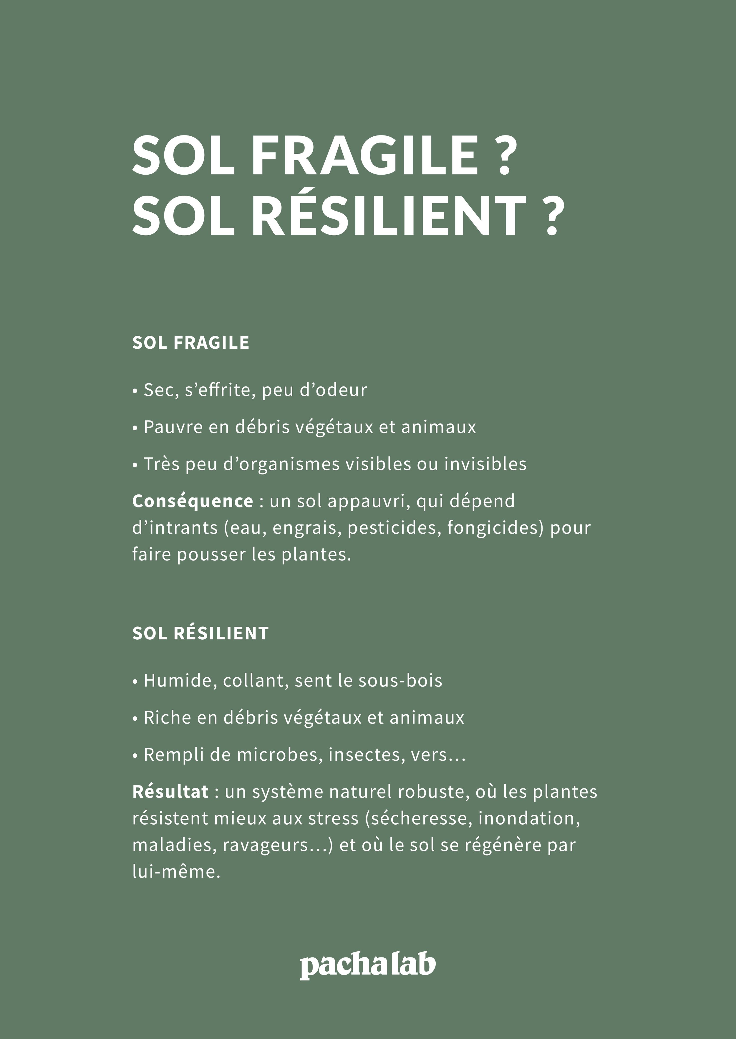 Good soil vs bad soil.jpg