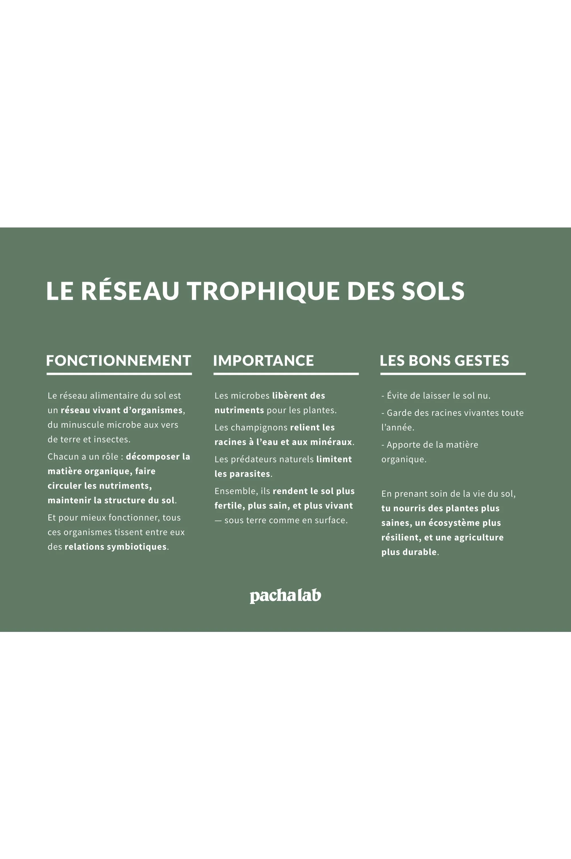 Réseau trophique des sols_portrait.jpg