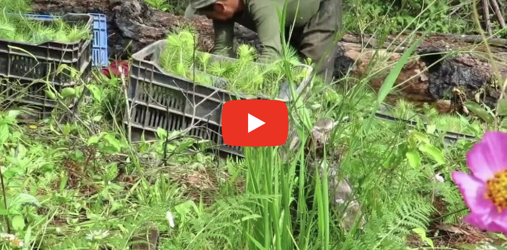 Screenshot 2024-10-22 at 7.14.45 PM.png