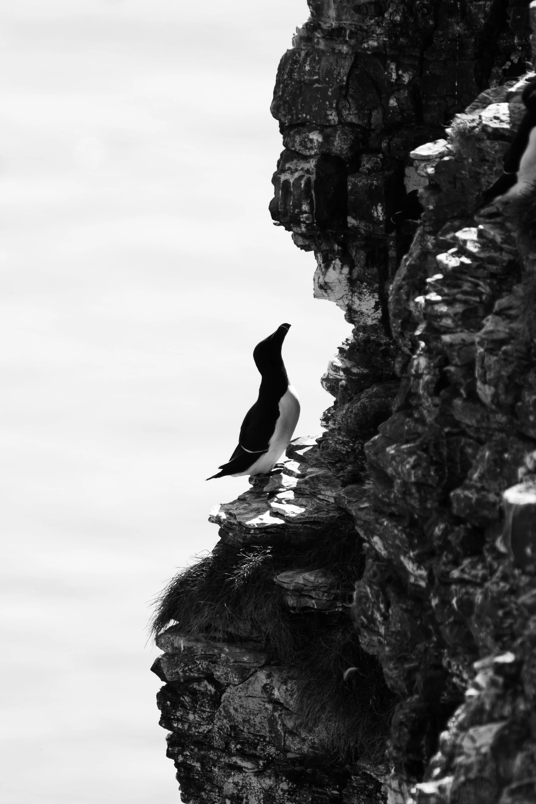DSC_3524.jpg