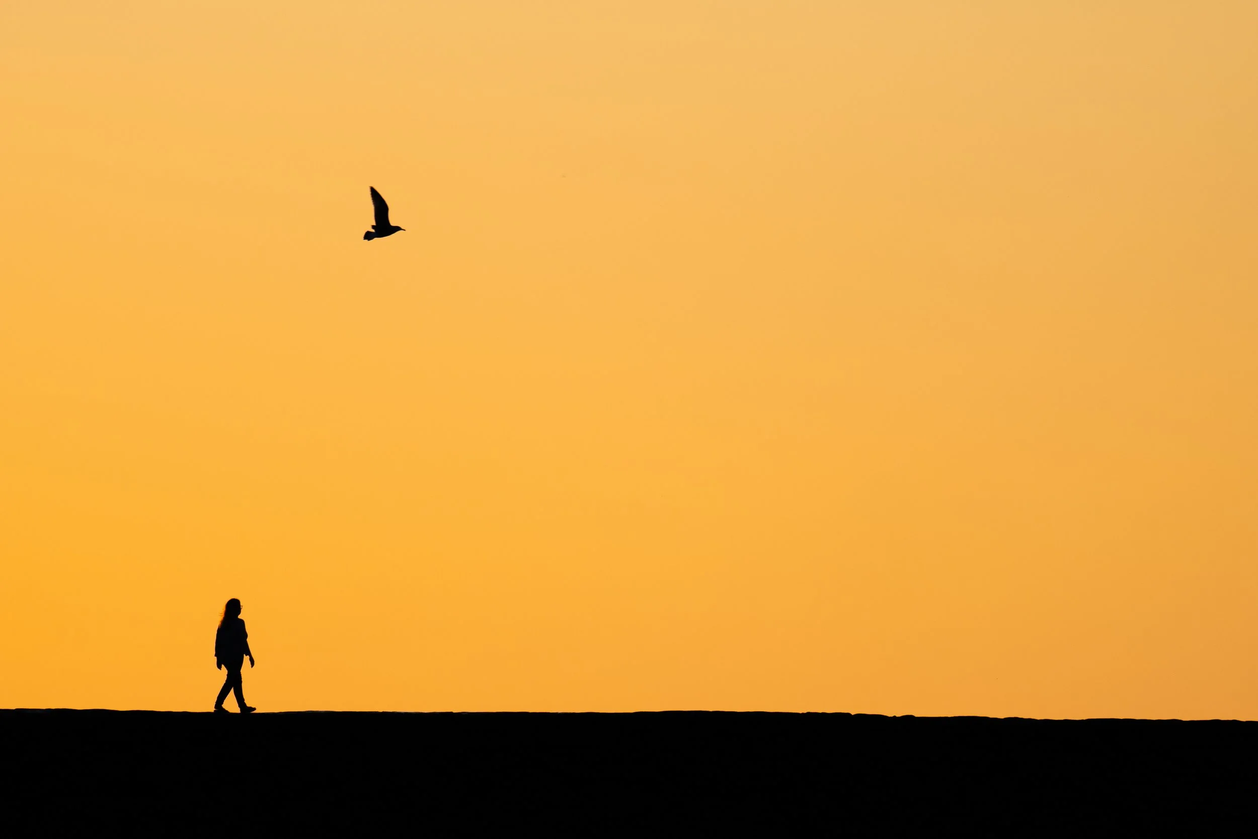 Across the Breakwater.jpg