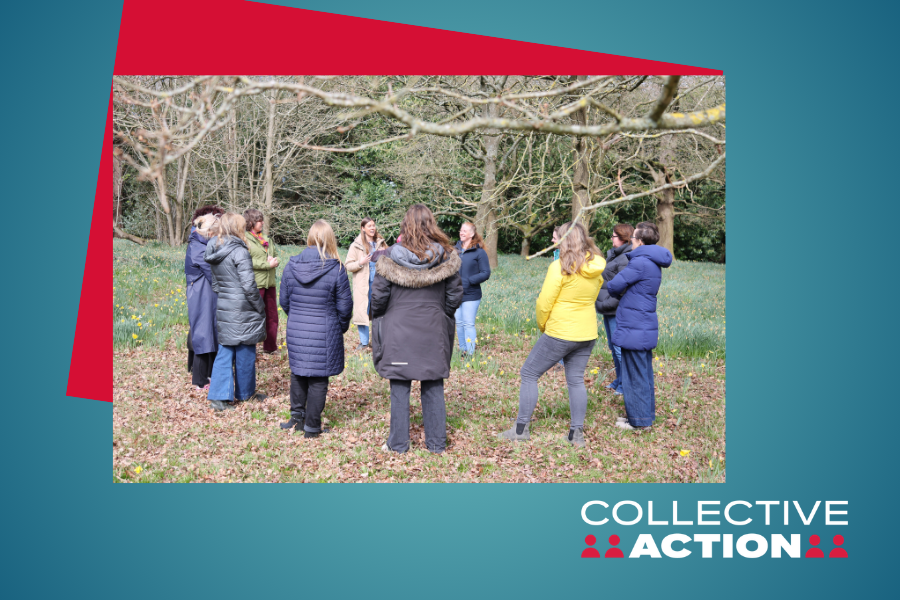 The Literacy Link: changing the system together