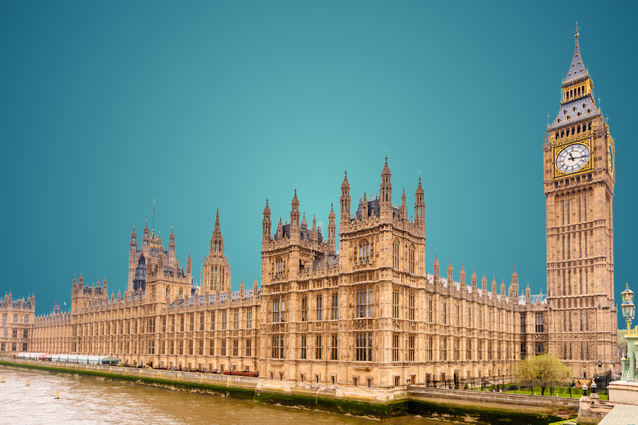 Calling for mental health reform in schools: a youth voice in the House of Lords