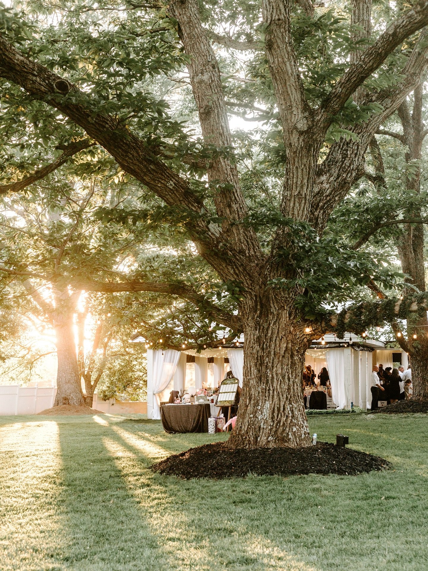 Summer lawn receptions are my favorite ✨