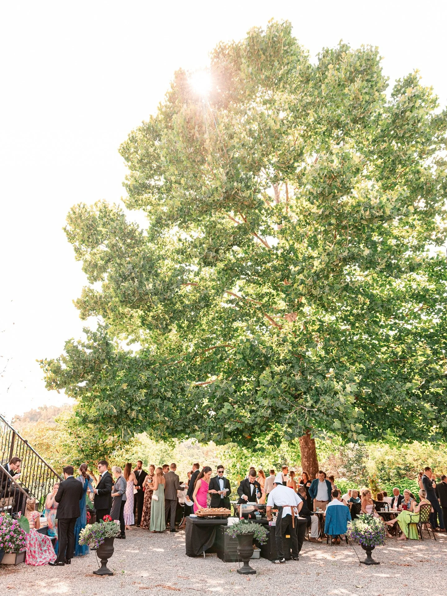 Summer cocktail hour✨

#gettingmarried #virginiaisforlovers #weddingphotographer #weddingphotography #lynchburgva #lynchburgphotographer #lynchburgweddings #lynchburgva #smithmountainlake #smithmountainlakeweddings #centralvaweddings #virginiawedding
