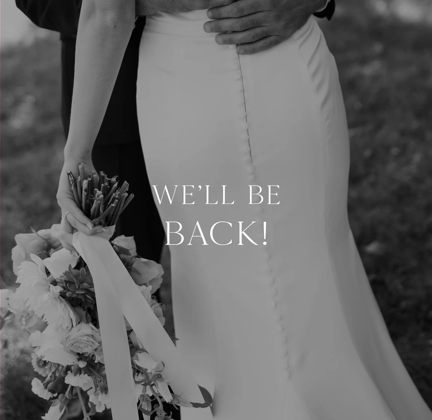 Mindy Sargent Photography is taking a short break this year as I step into maternity leave and begin working on some exciting new things behind the scenes.

Thank you endlessly for the love and support. Wishing you a beautiful year ahead &mdash; see 