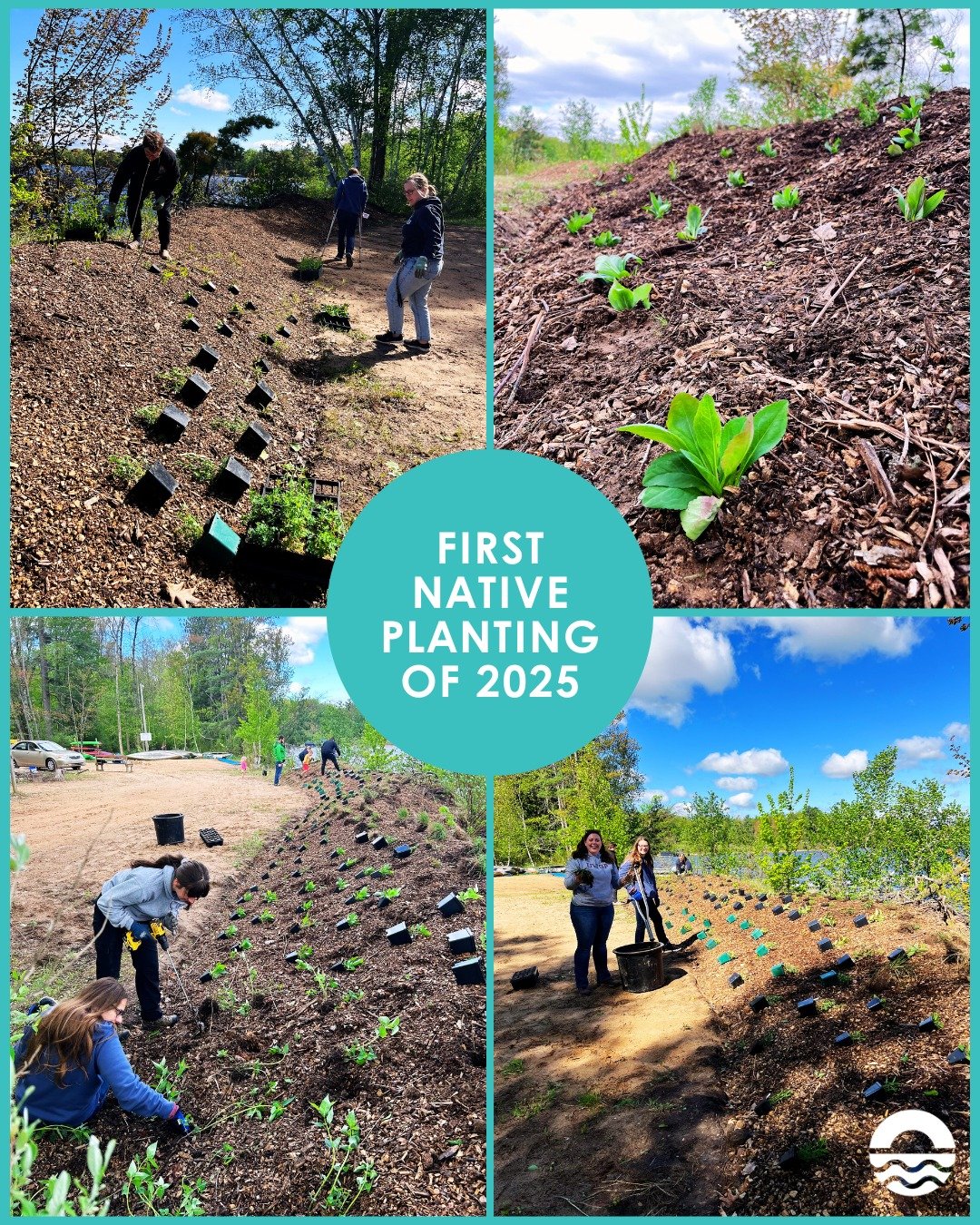 🌱 𝗣𝗹𝗮𝗻𝘁𝗶𝗻𝗴 𝘀𝗲𝗮𝘀𝗼𝗻 𝗵𝗮𝘀 𝗼𝗳𝗳𝗶𝗰𝗶𝗮𝗹𝗹𝘆 𝗯𝗲𝗴𝘂𝗻! 🌞

Last week, we kicked off the 2025 season with our 𝗳𝗶𝗿𝘀𝘁 𝗻𝗮𝘁𝗶𝘃𝗲 𝗽𝗹𝗮𝗻𝘁𝗶𝗻𝗴 at the beautiful @camp_tekakwitha &mdash; and it was a huge success! 💪💚

A huge 
