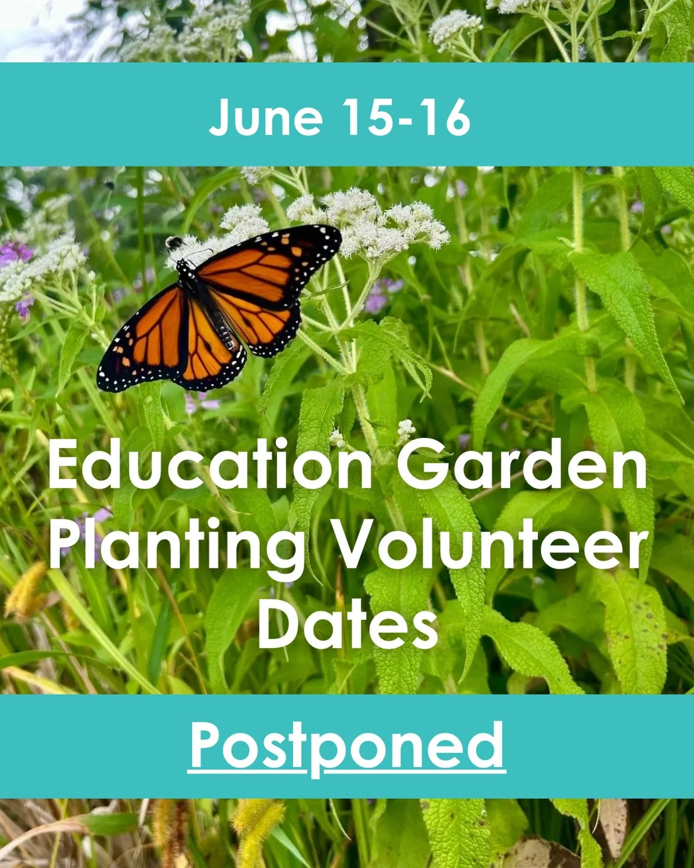 A notice that our upcoming volunteer dates on June 15-16th have been POSTPONED. We will post as soon as we have more dates set, so keep an eye out for those on social media and our website! 

We apologize for any inconvenience with the change in plan