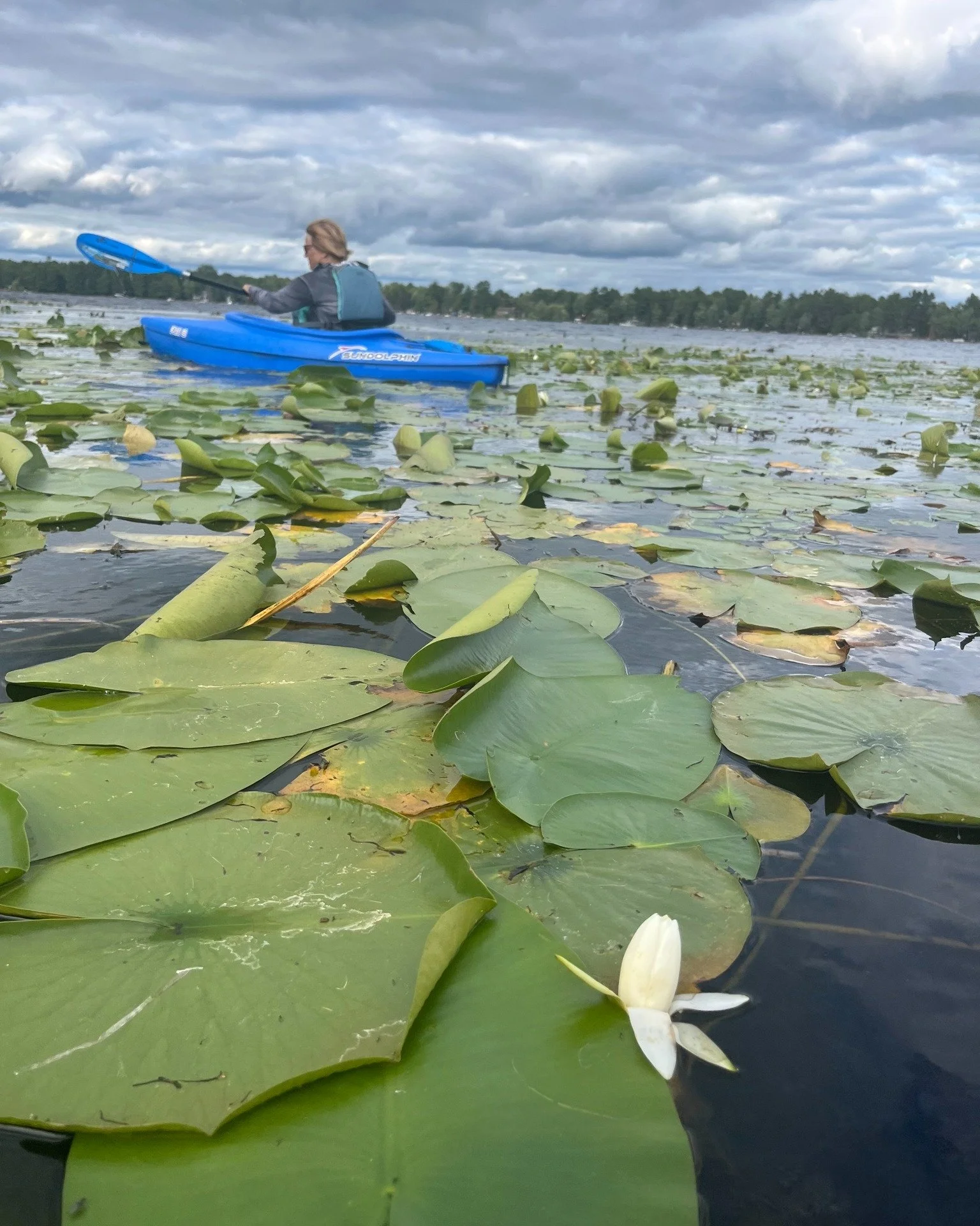 We teamed up with the @shawanopaddlers for what is quickly becoming an annual tradition&mdash;our Aquatic Plant Paddle! 🌿🚣

Even though the wind kept us from venturing too far out onto Loon Lake, we still had a great time practicing our native and 