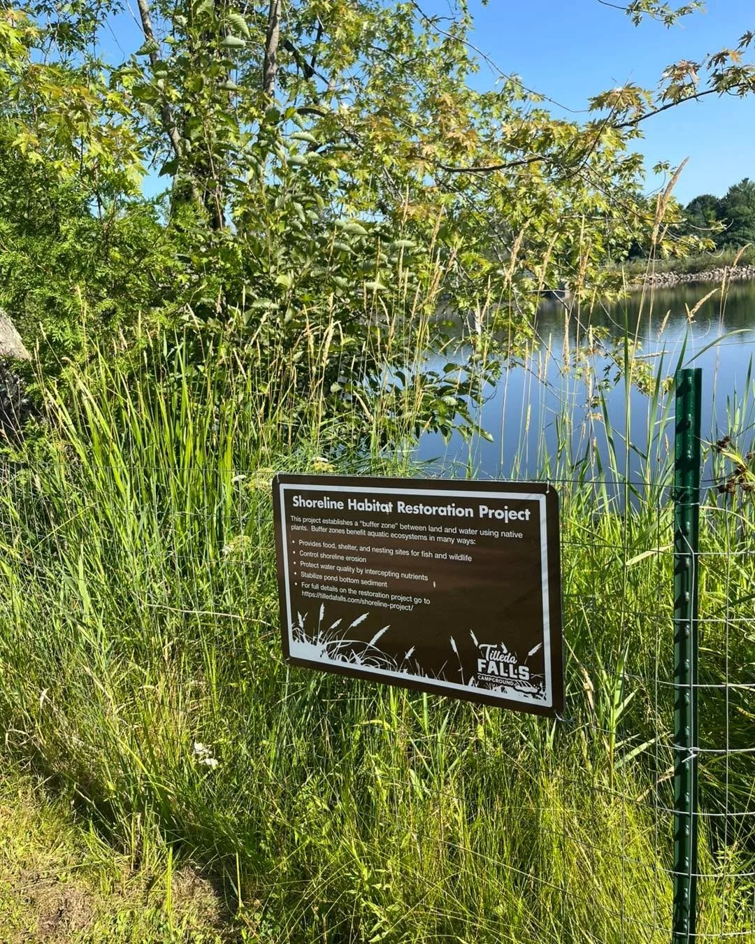 We had a great time presenting at the Lake Michigan Area Summer Tour hosted by the Shawano County Land Conservation Department ! 🌿

WAMSCO had the opportunity to showcase our Gibson Island Restoration Project, where we've stabilized the island's ero