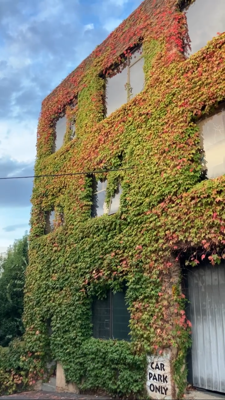 Alchemy Healing Arts Clinic Entrance