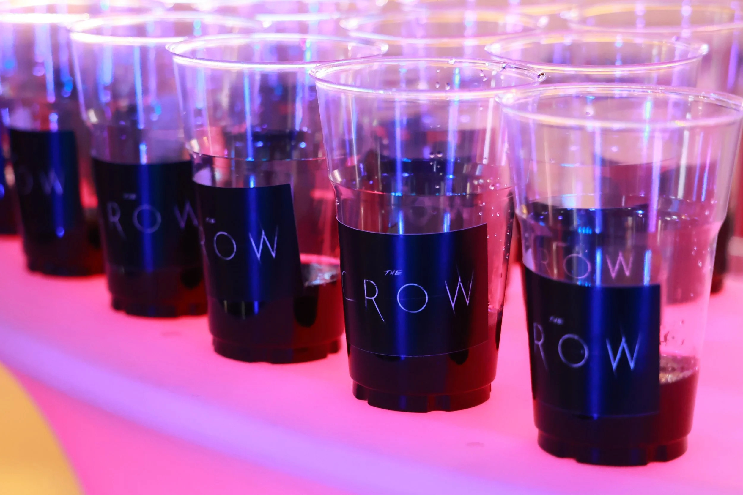 21-08-67CROW (106).JPG