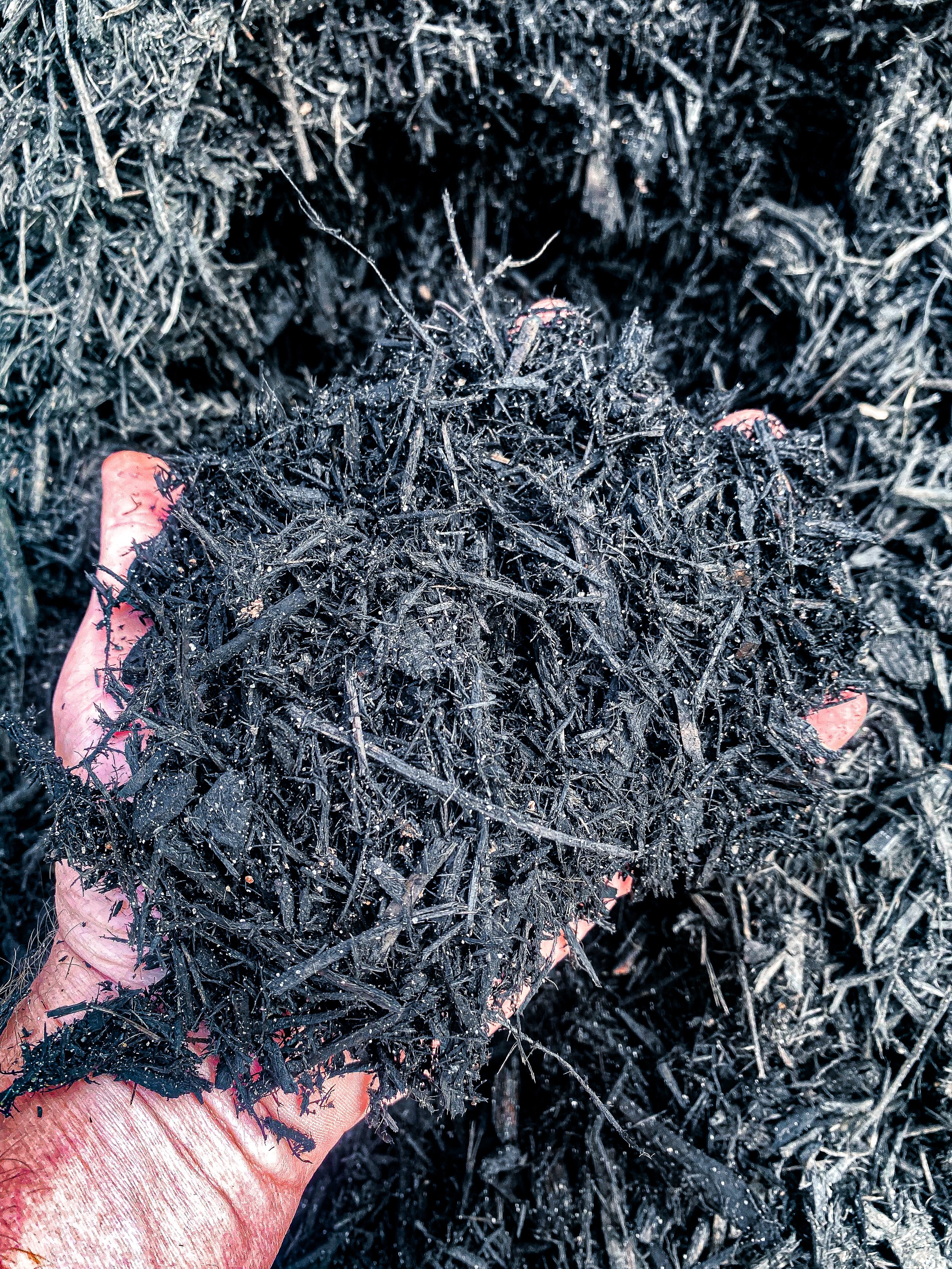 Dyed Mulch