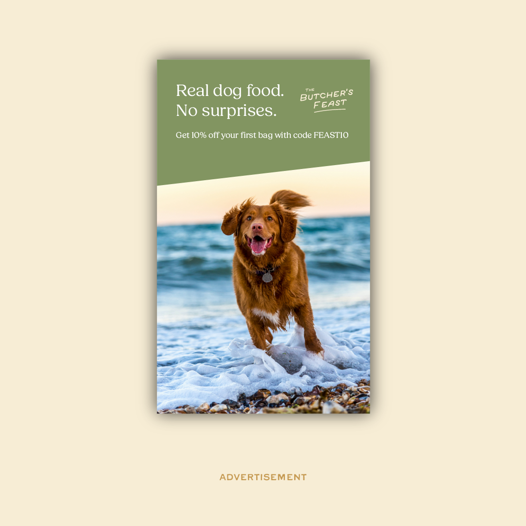 Butchers Feast Mockup-03.png