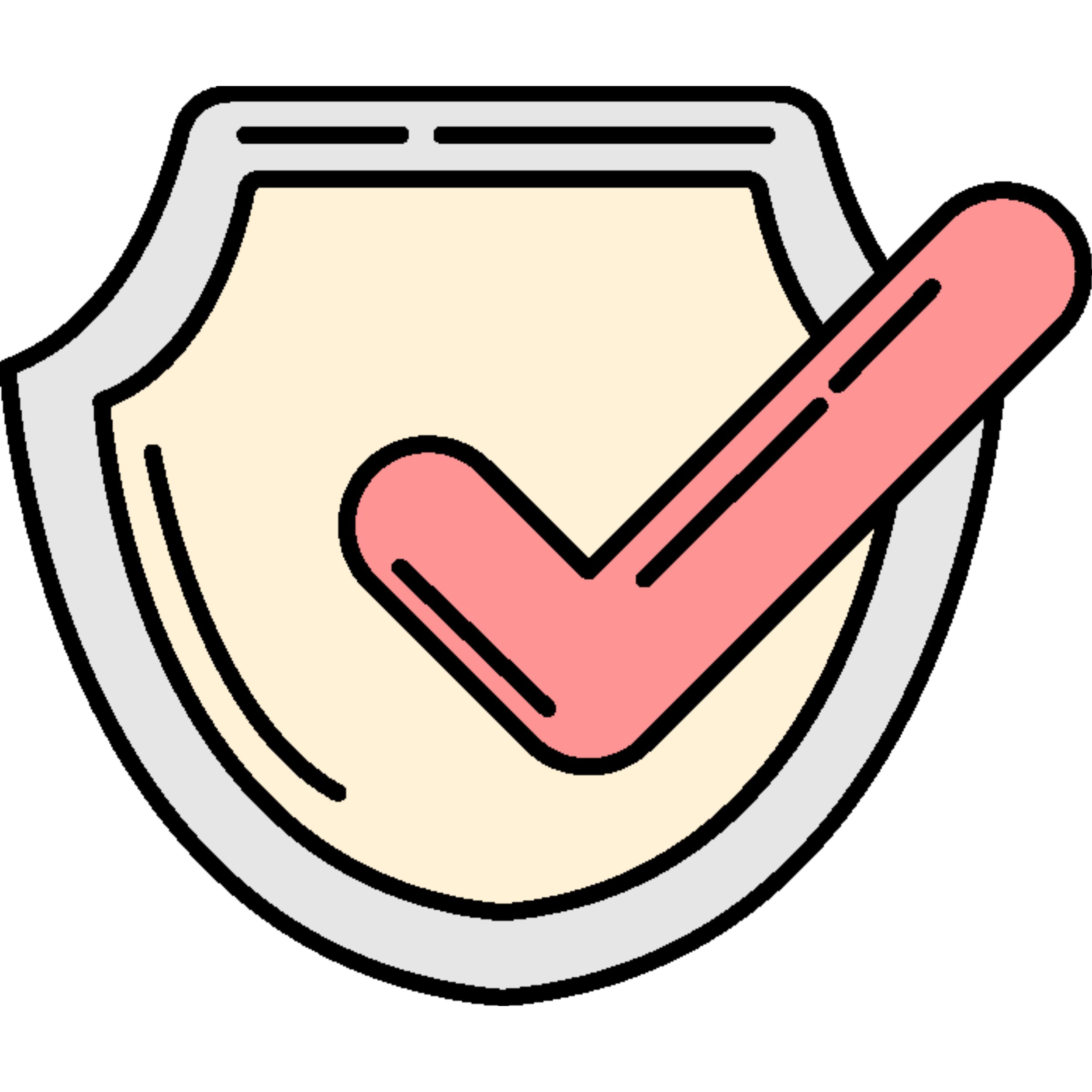 Shield icon with a pink checkmark symbol.