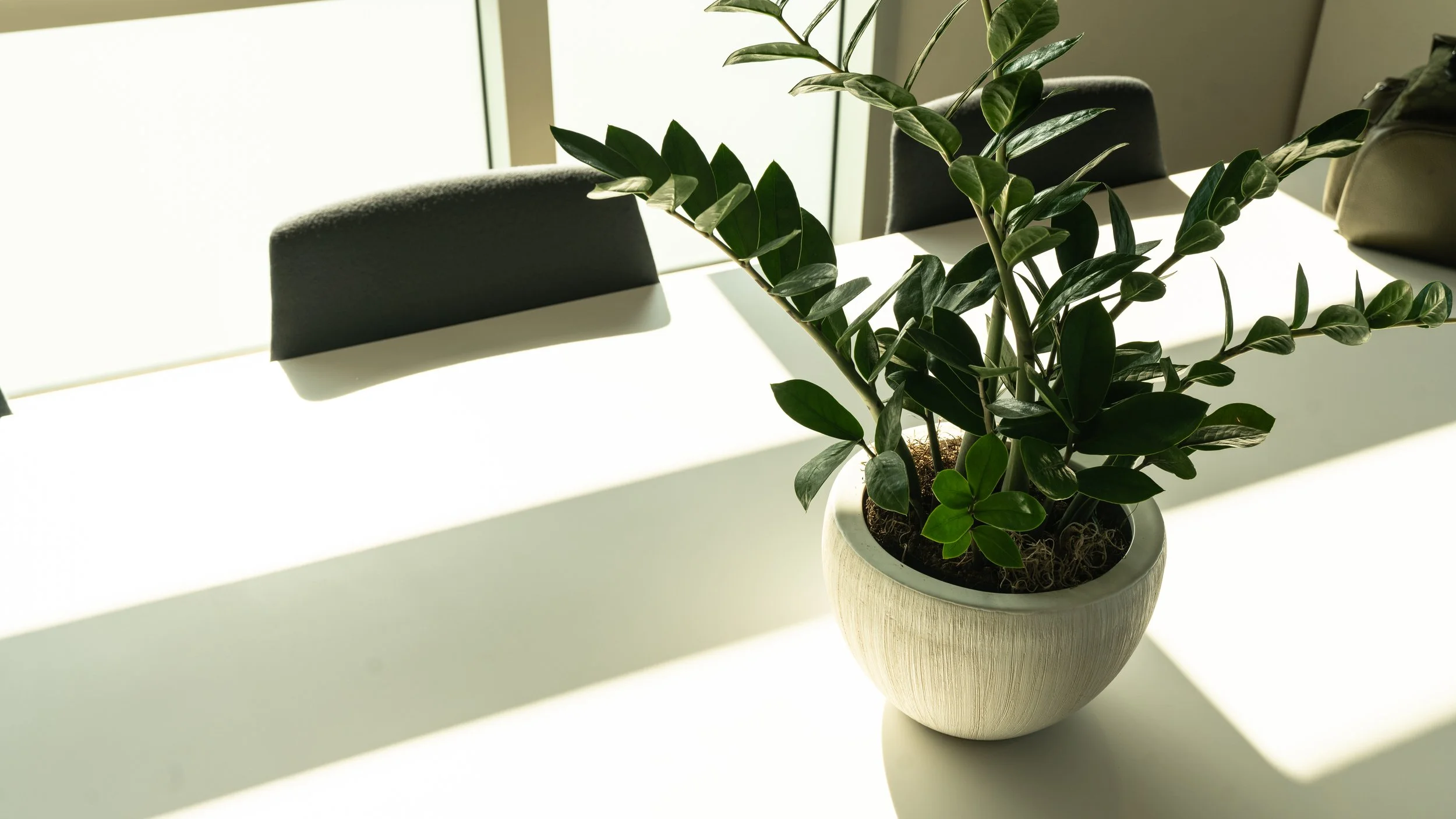 Texas dental office design