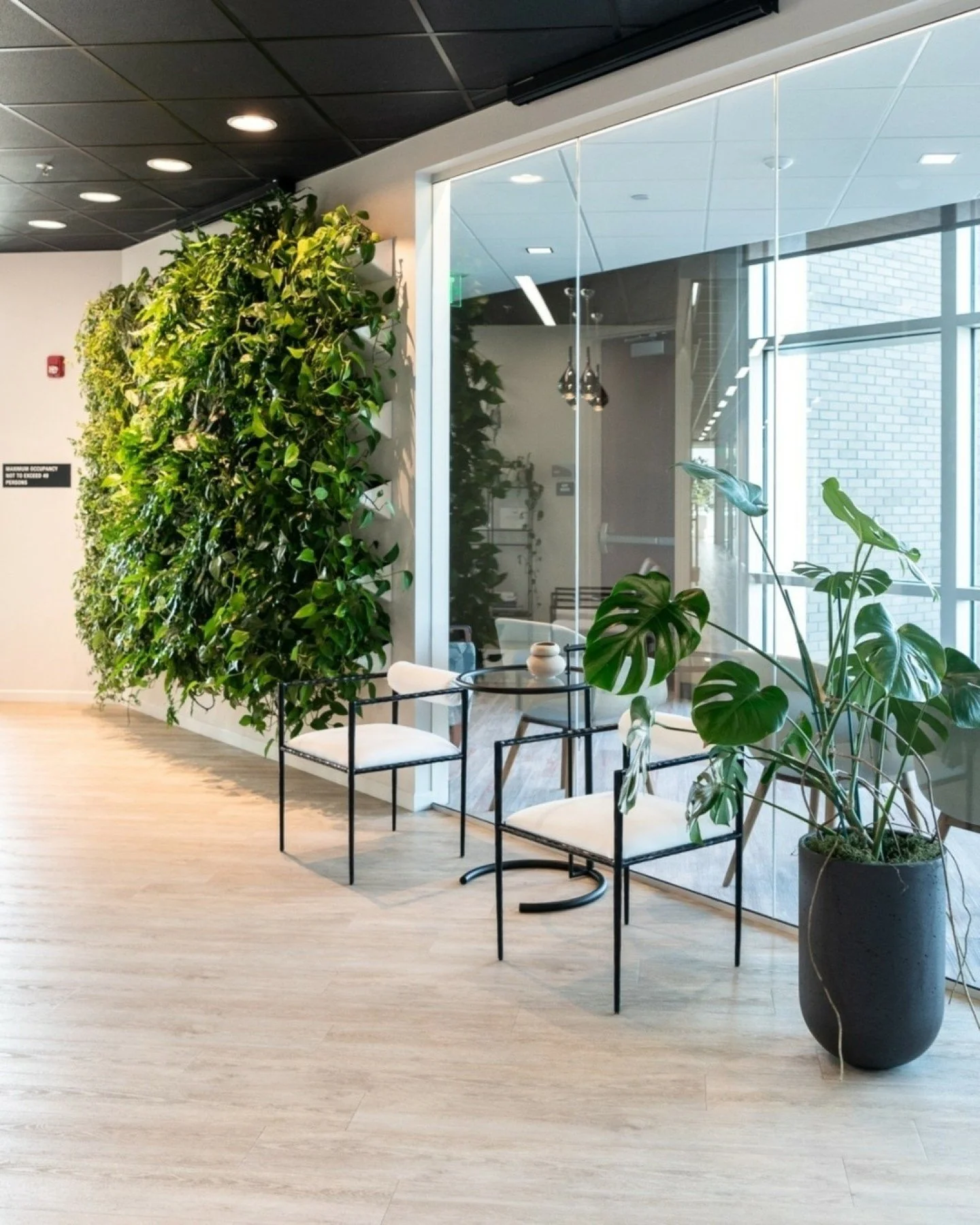 Nature meets design at Bauer Dental Center in Arroyo Grande, California. Sunlight, greenery, and biophilic elements create a space that feels as calming as it is vibrant.
Bei Bauer Dental Center in Arroyo Grande, Kalifornien, trifft Natur auf Design