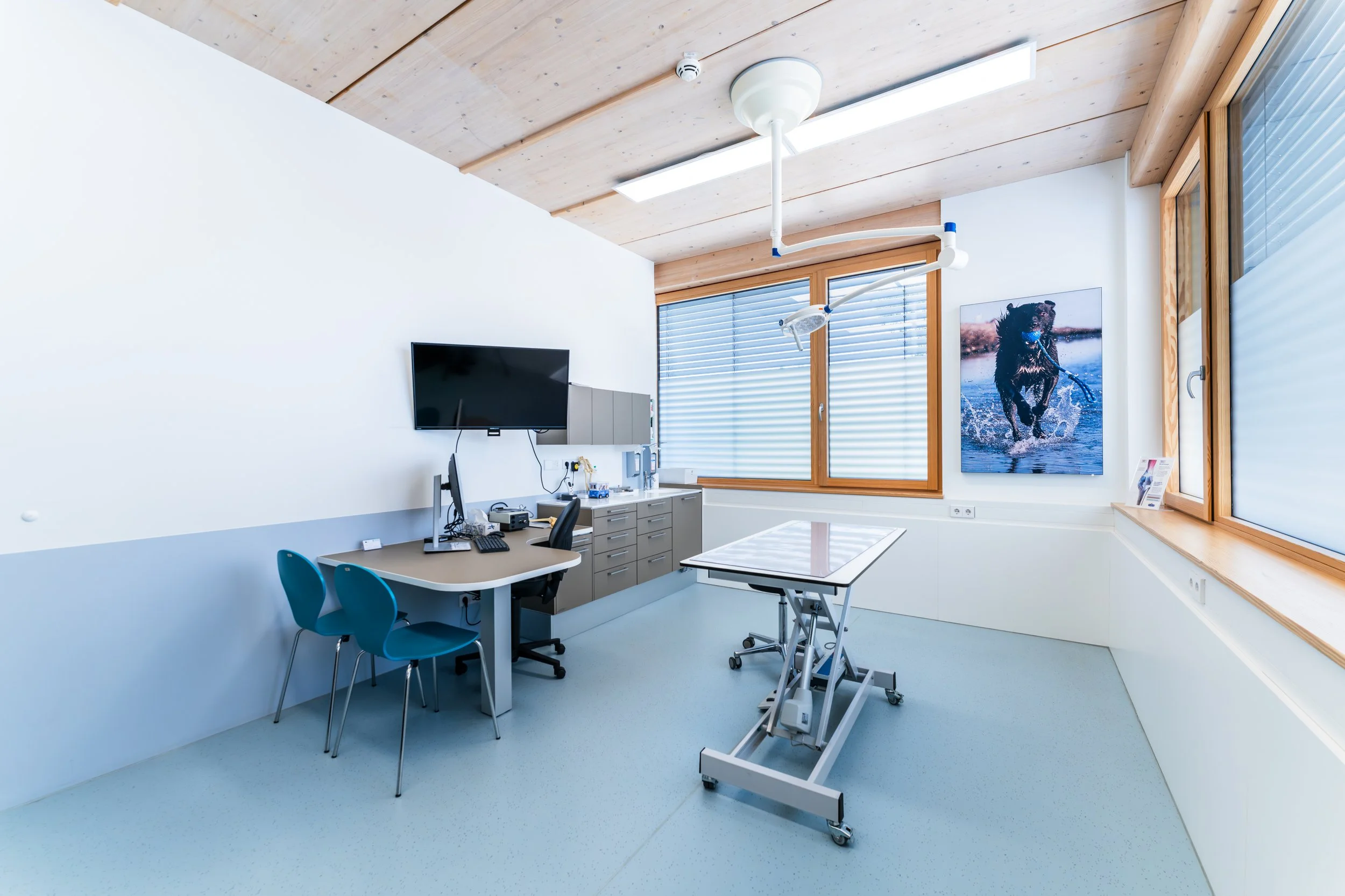 veterinary clinic design
Tierklinik Stuttgart
animal hospital design