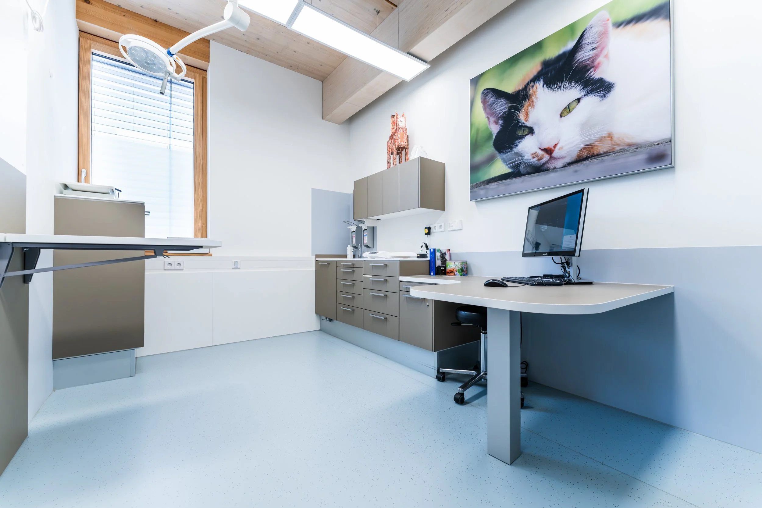 veterinary clinic design
Tierklinik Stuttgart
animal hospital design